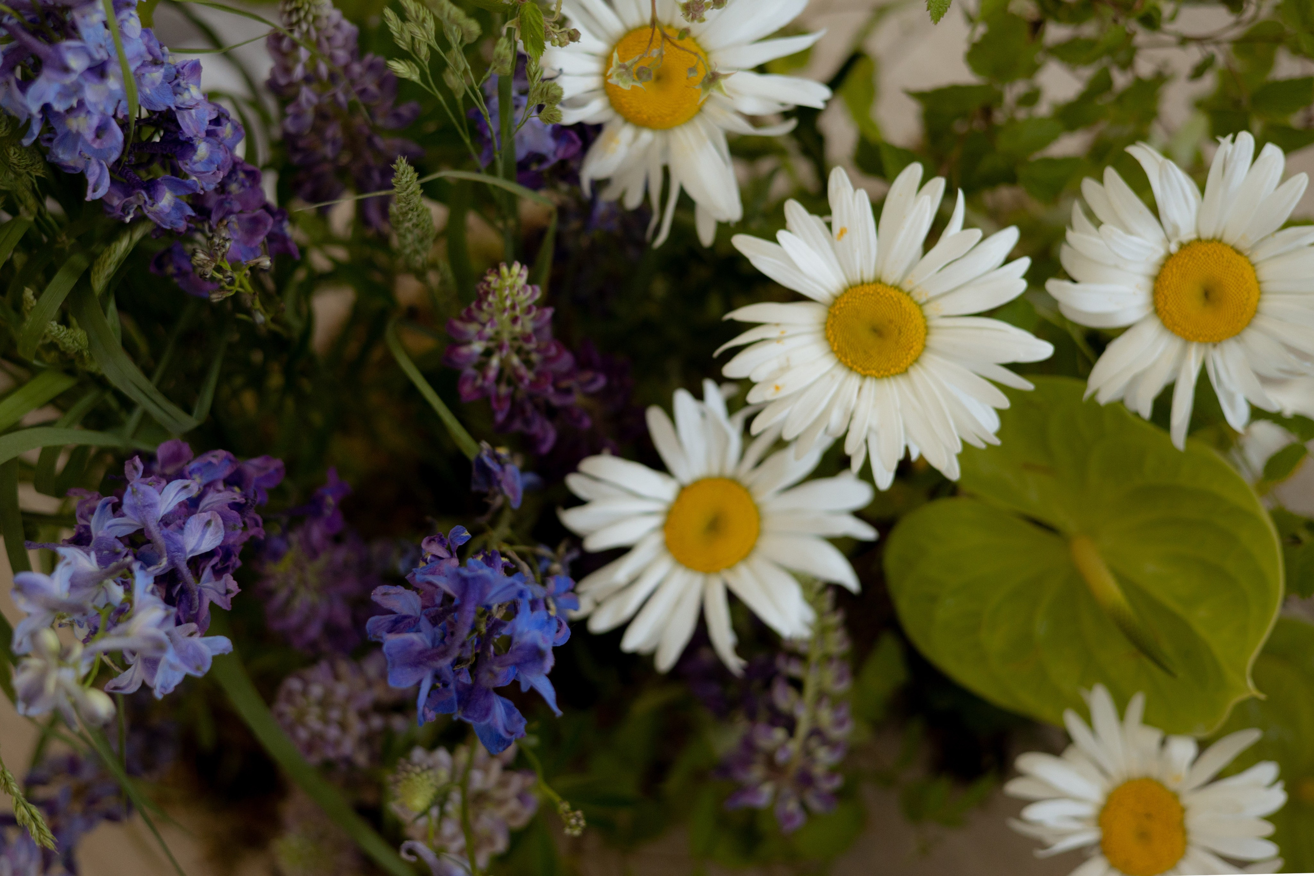 «Московское небо». Оформление свадеб, декор свадеб Вера Маркова, Москва