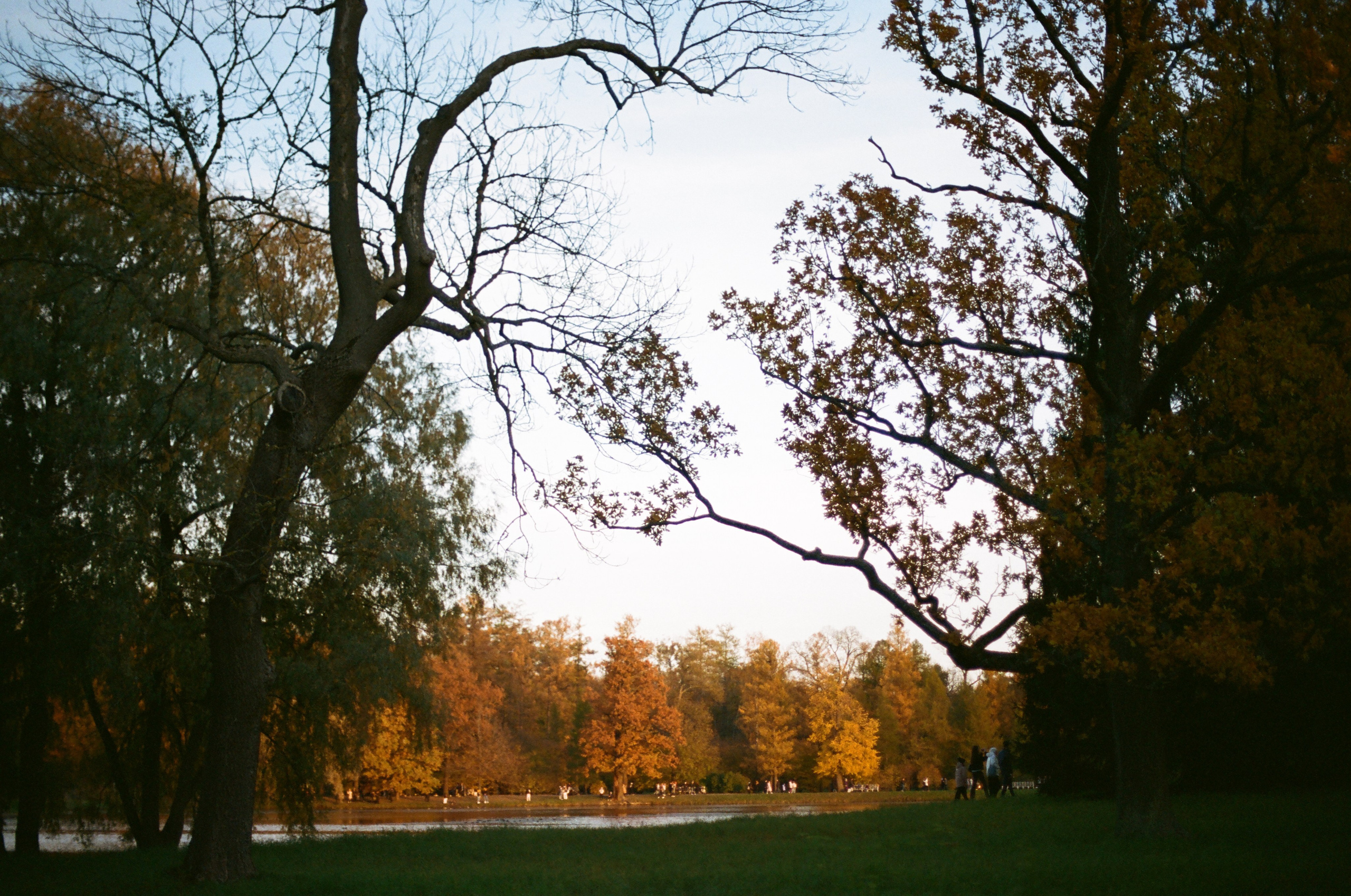 Осень в Пушкине. Андрей Цветков — репортажный, свадебный и портретный фотограф в Санкт-Петербурге