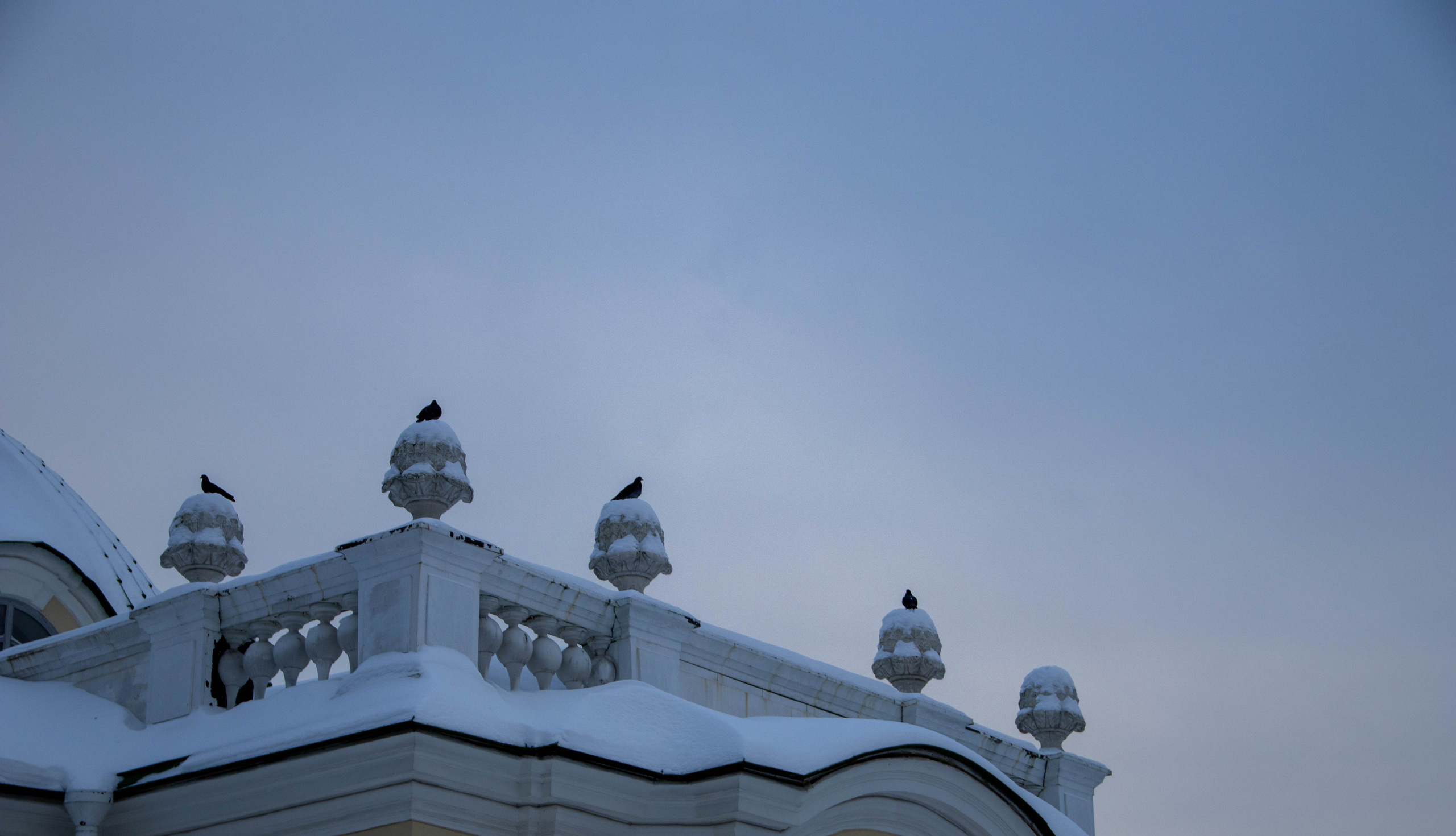 Природа, зверушки. Фотограф и кожевник Кирилл Удалов