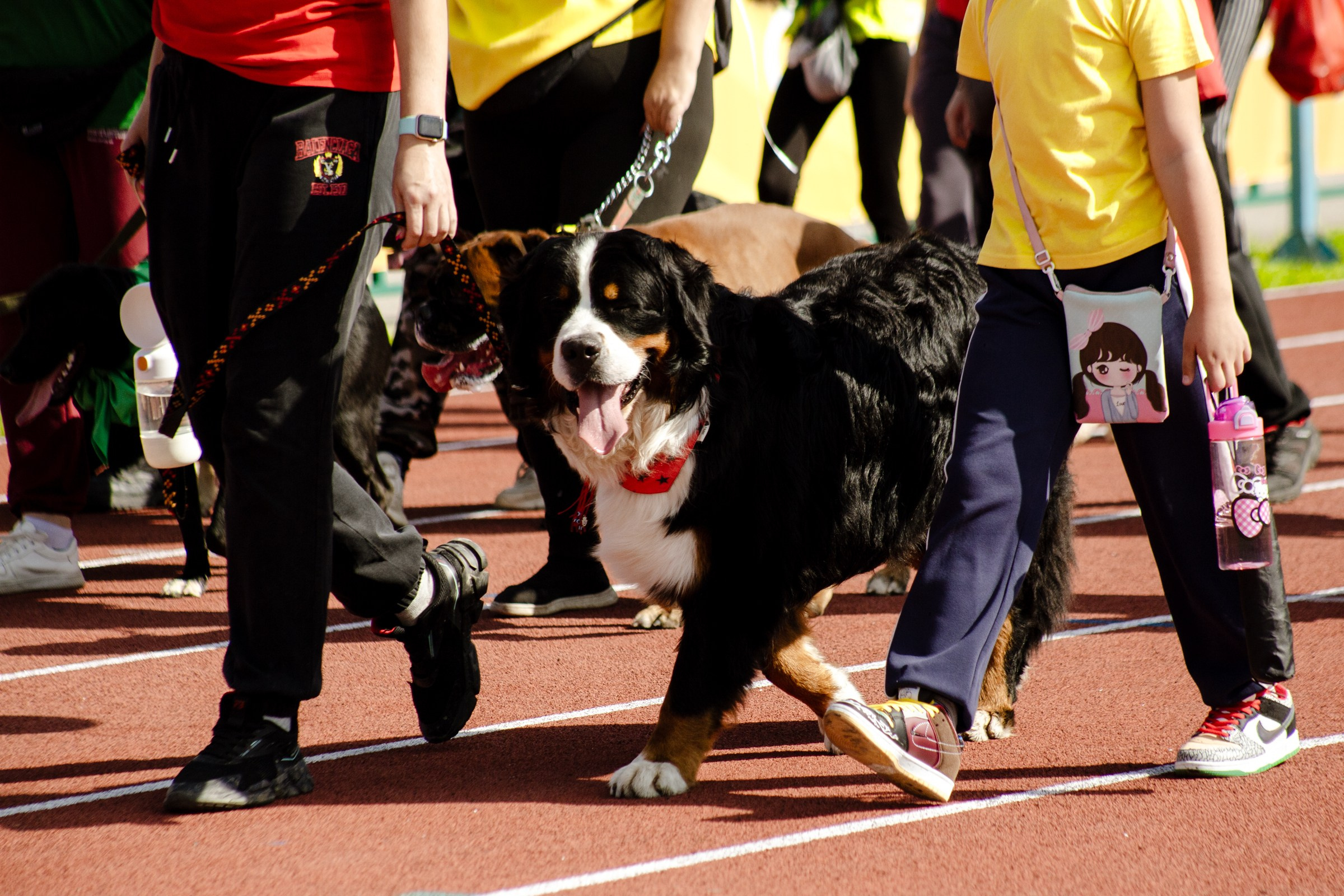 День города Усолье-Сибирское 2024. Фотограф в Иркутске Евгения Айвазова