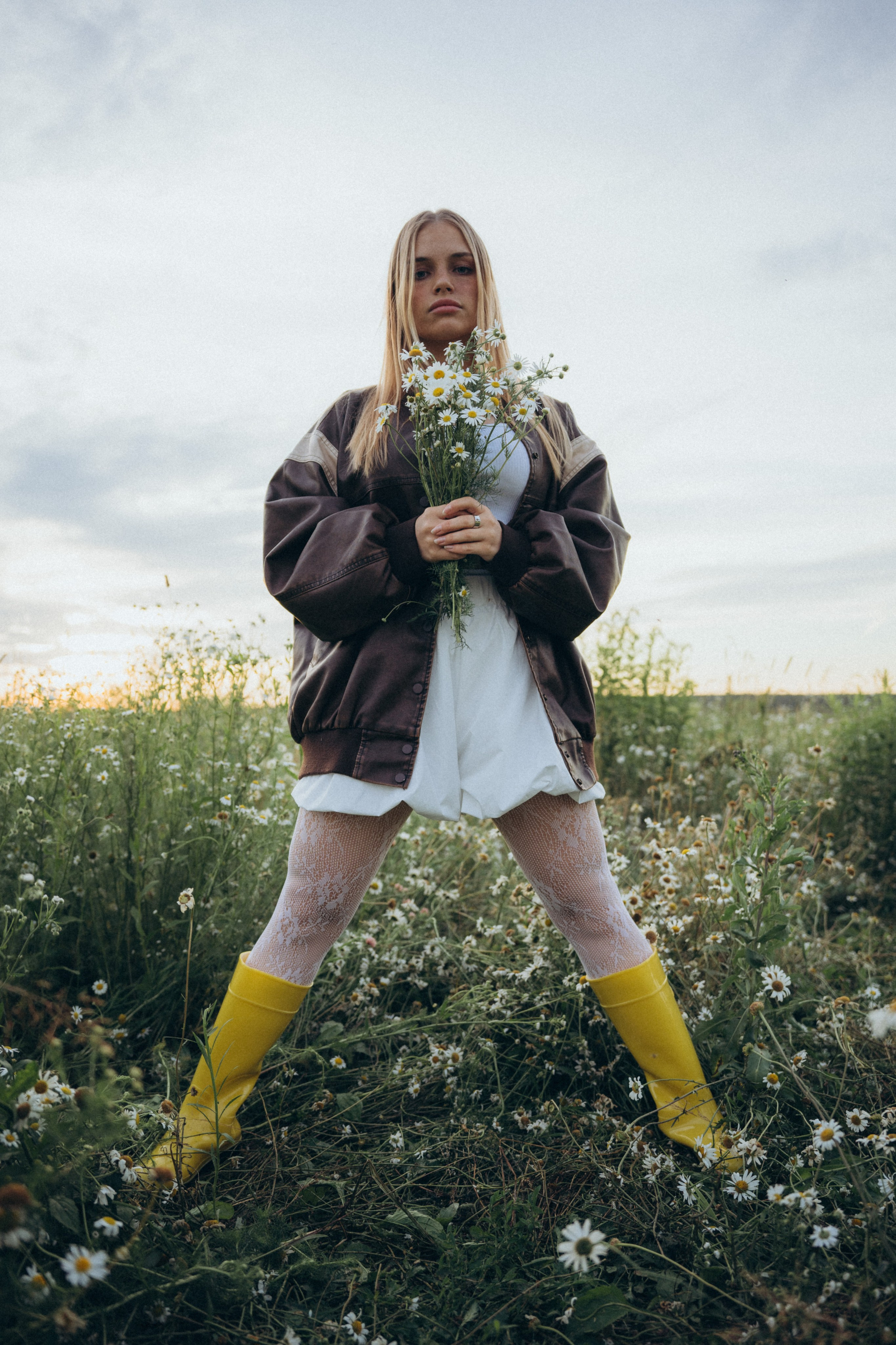 Ромашки. Фотограф Москва