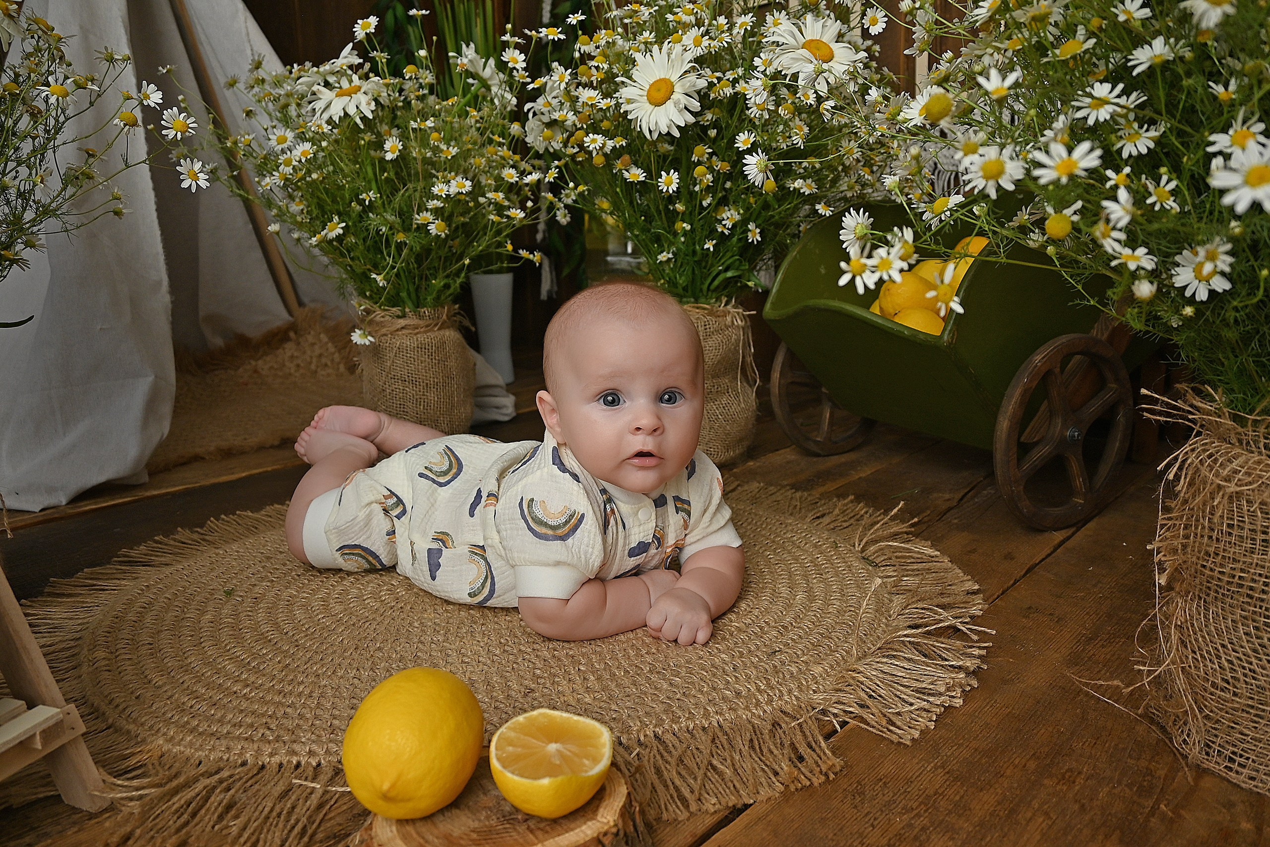 Ромашки&лимоны. Детская фотостудия «Ягоза»