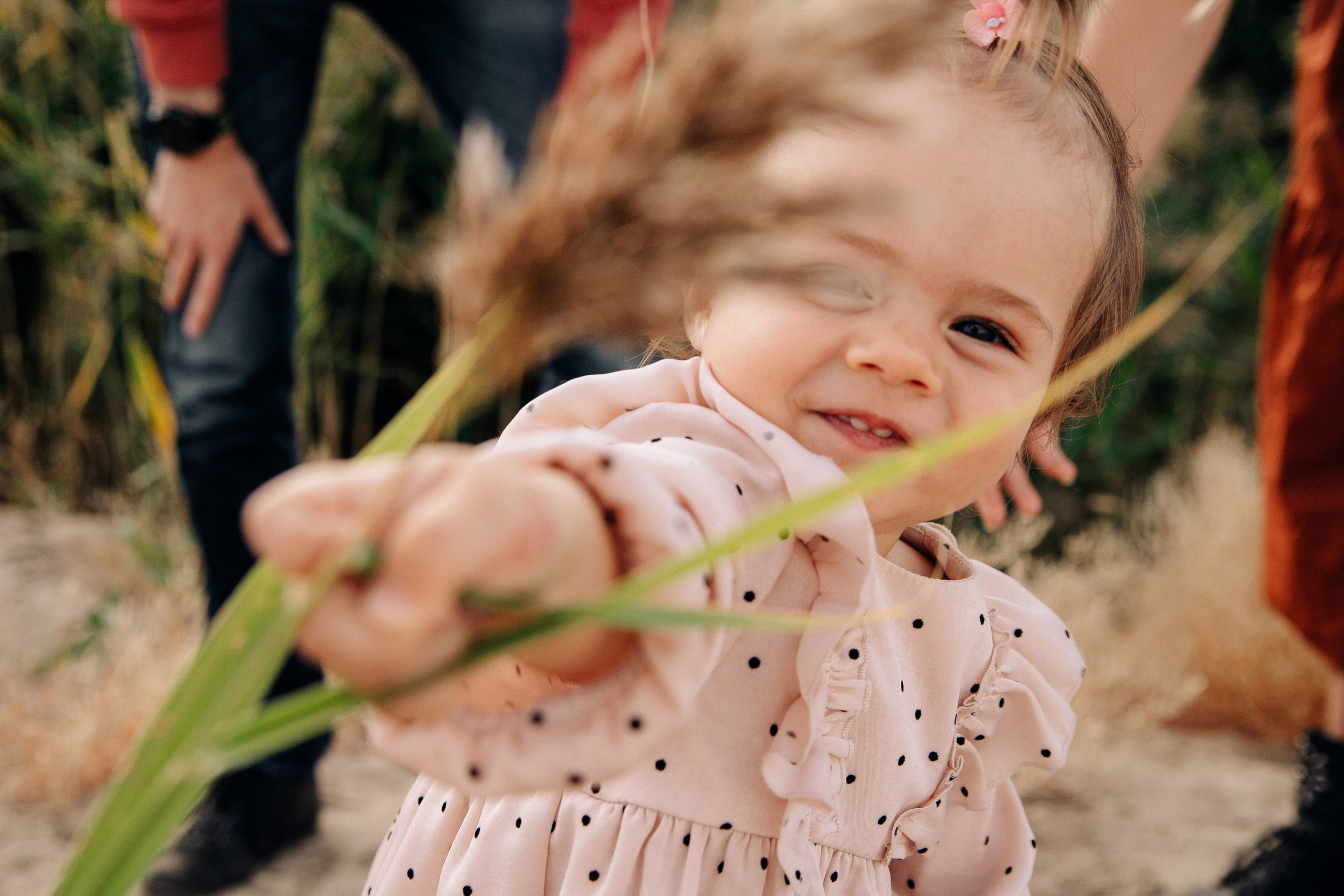 Семейная прогулка. Свадебный и семейный фотограф в Воронеже Свиридова Евгения