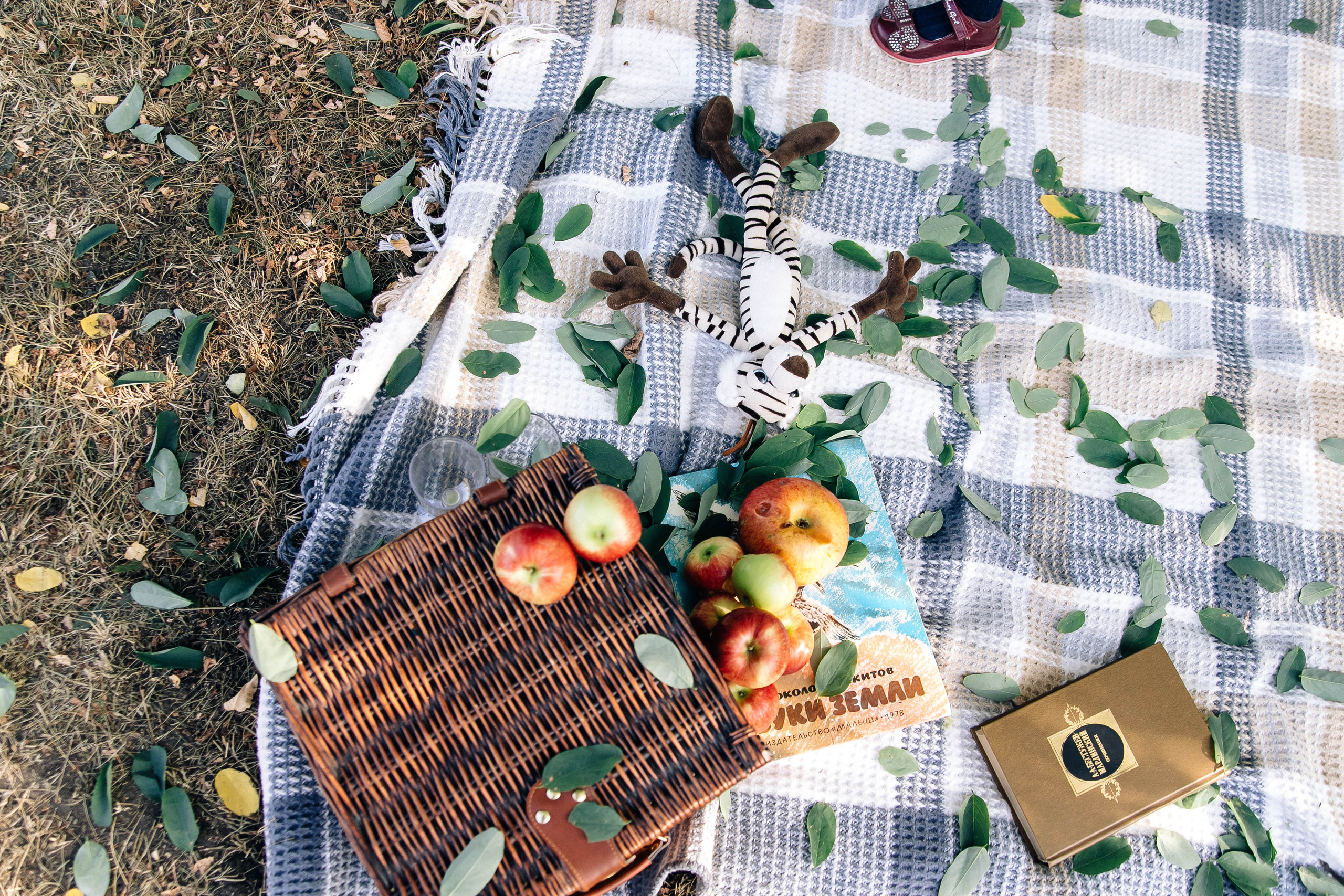 Пикник. Свадебный и семейный фотограф в Воронеже Свиридова Евгения