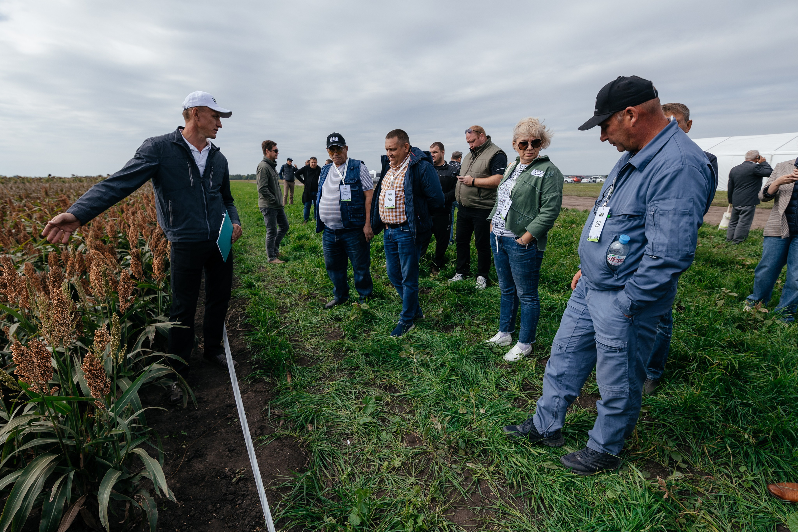 День поля. Фотограф Крохин Олег