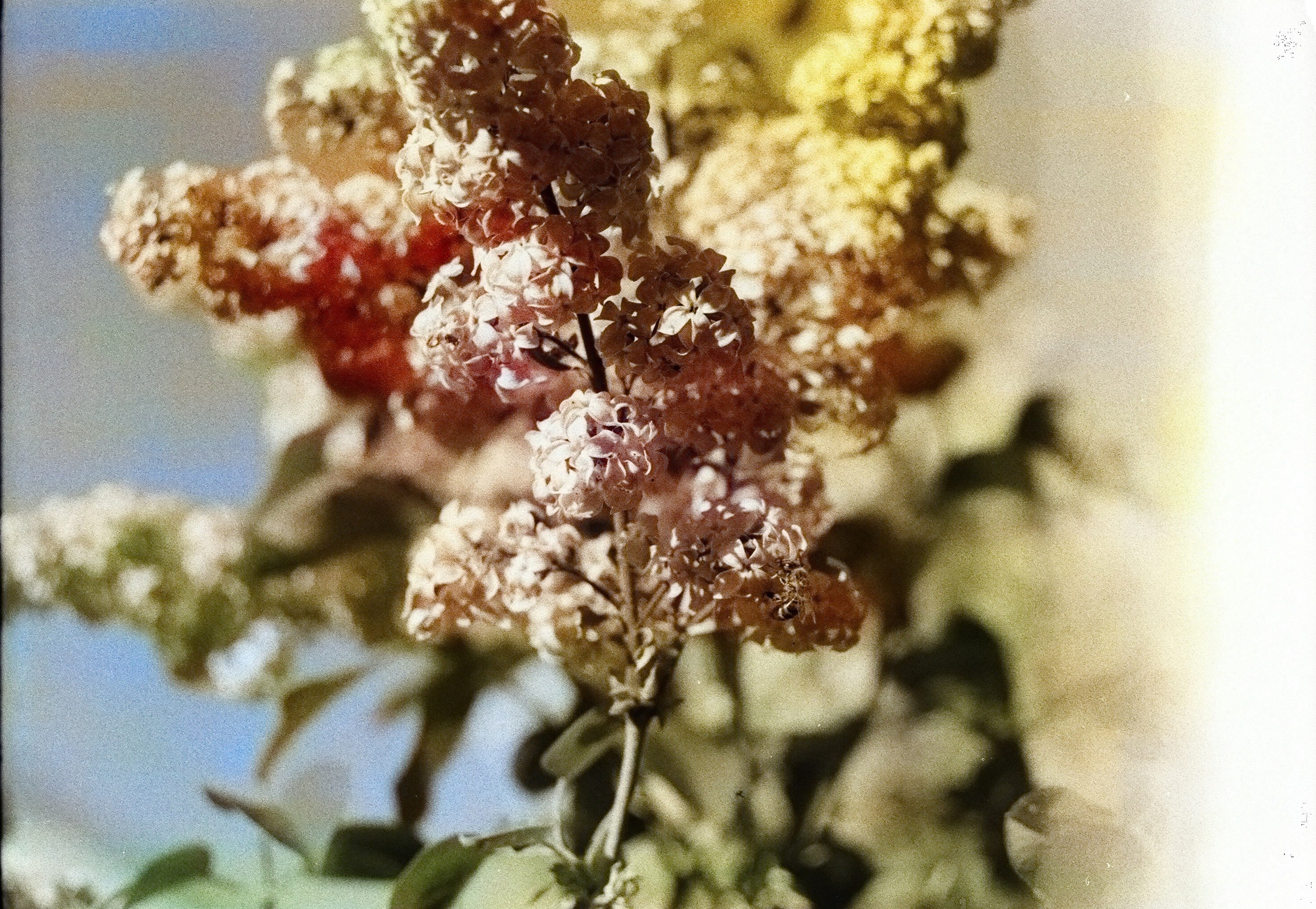 Натура. Фотограф — Маслеников Константин