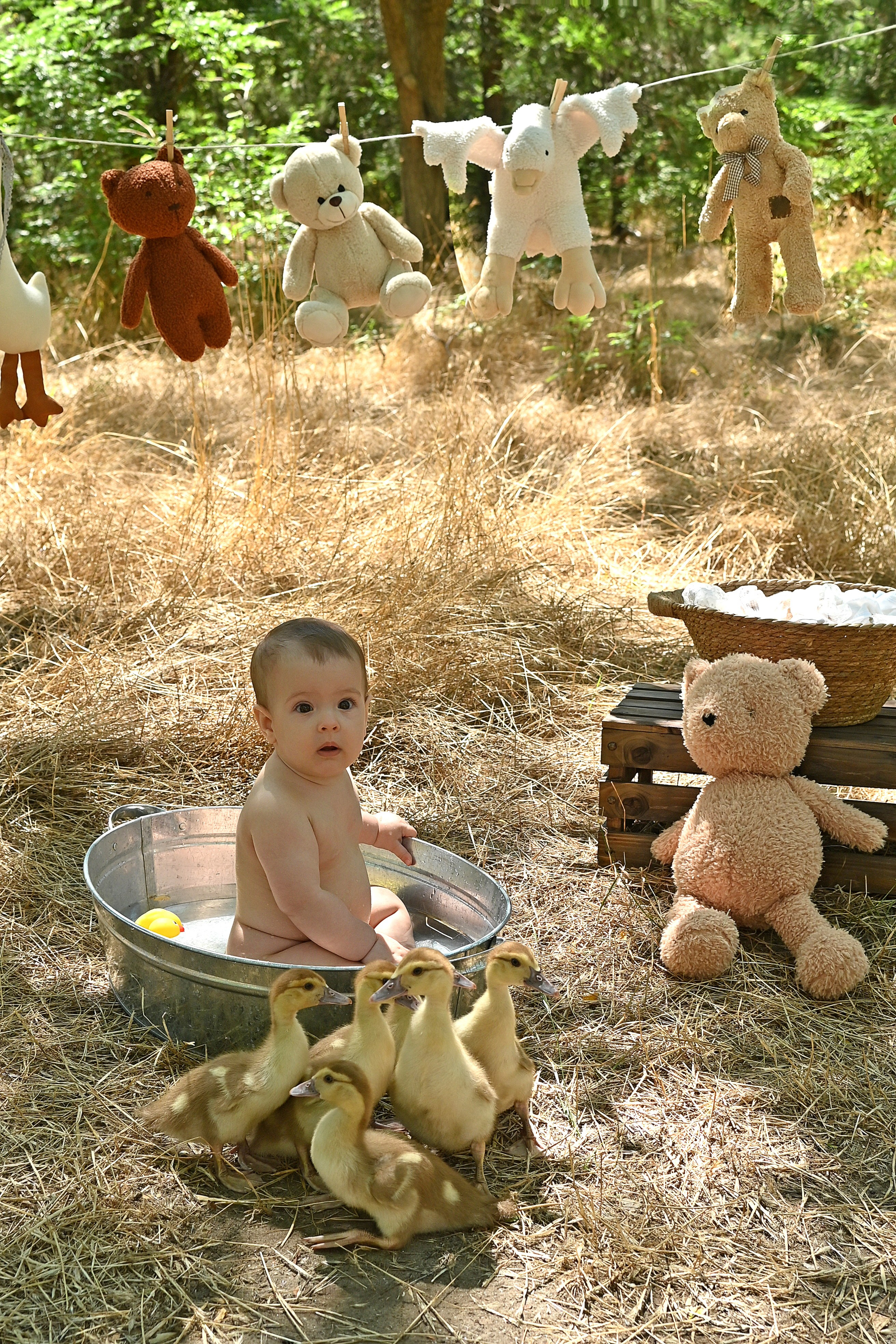 Стирка&Пикник. Детская фотостудия «Ягоза»
