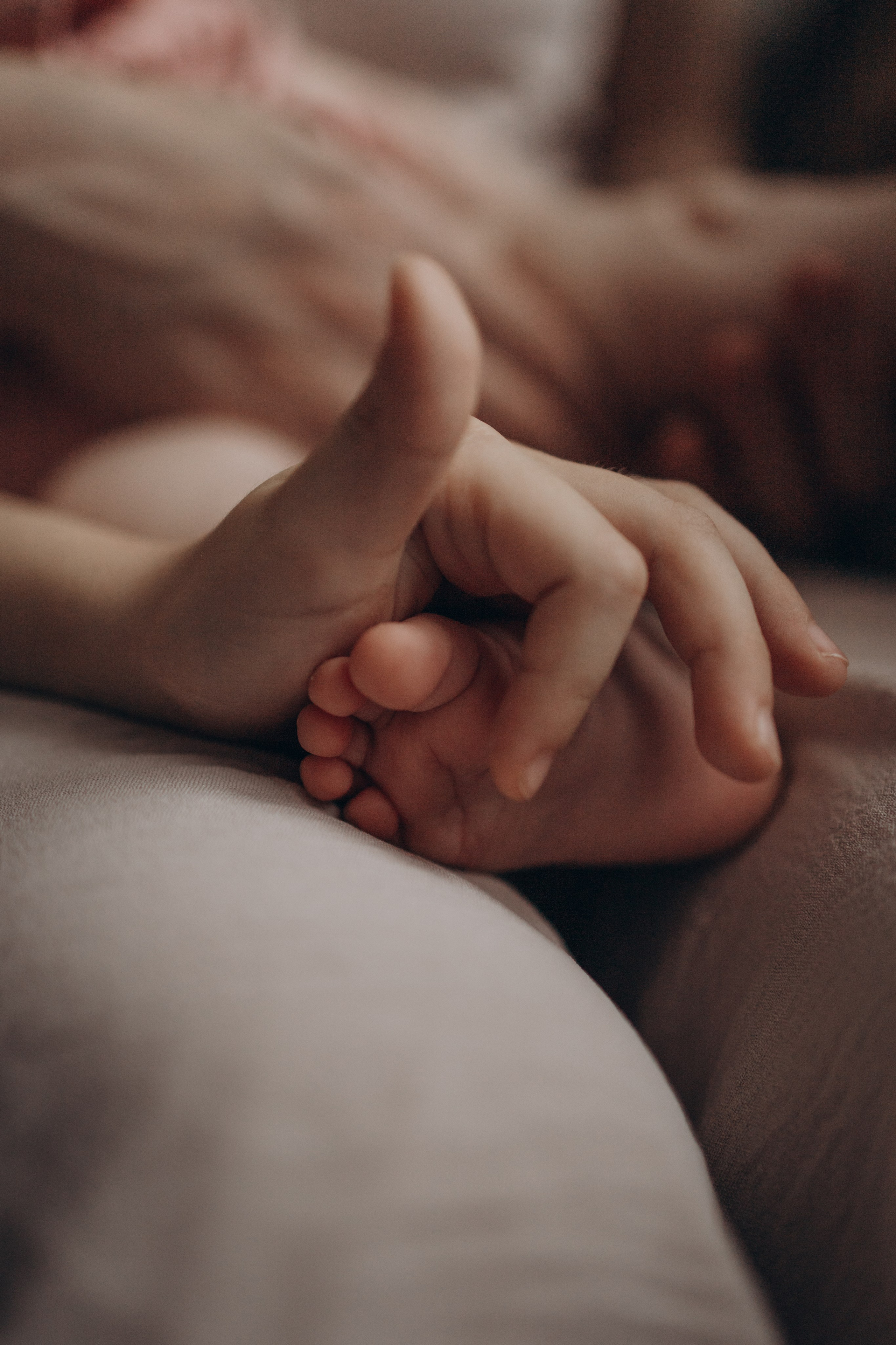 Ира, Руслан, Софа и Викуля. Семейный фотограф Екатерина Еремеева