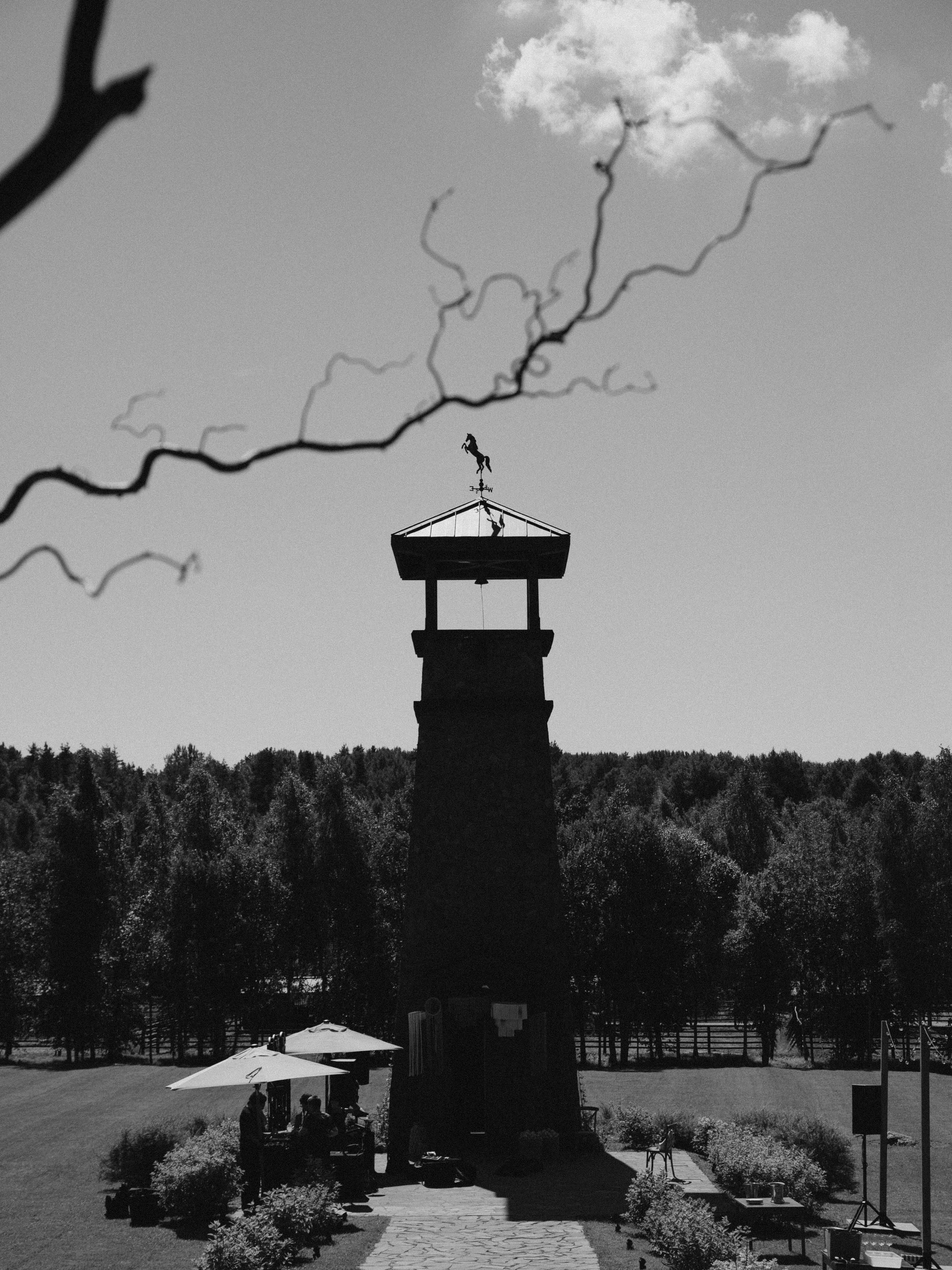 Little Italy. Вадим Зименков