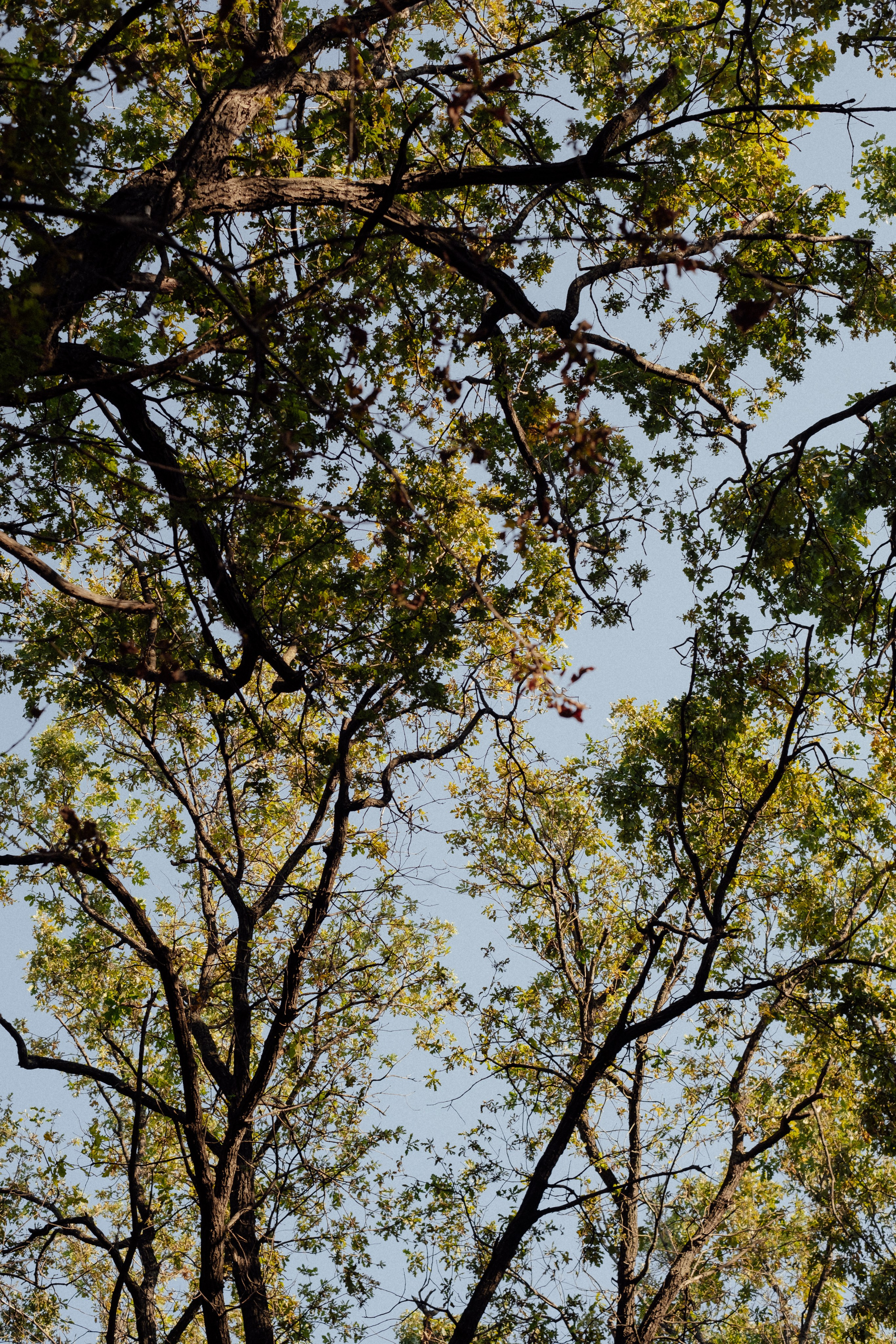 Филипп + Андрей + Лера. Свадебный и семейный фотограф г. Волгоград Биленко Ангелина