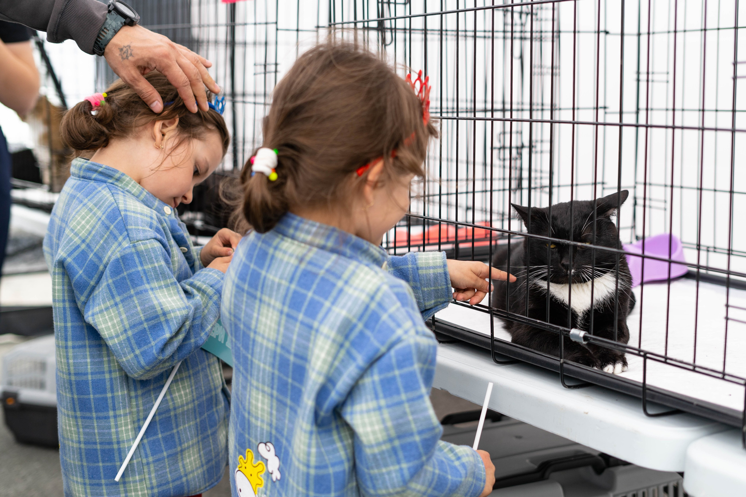 Проект «Бери домой». Фотограф Екатерина Зорина