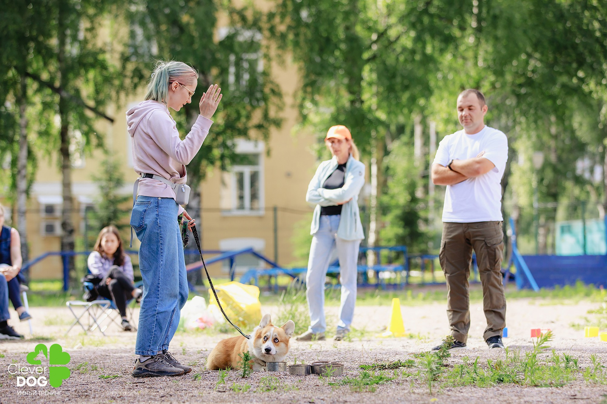 Семинар по поиску запаха с Иваном Ломовым, организатор CleverDog, СПб. Фотограф-анималист Mary Mart — Москва, Питер
