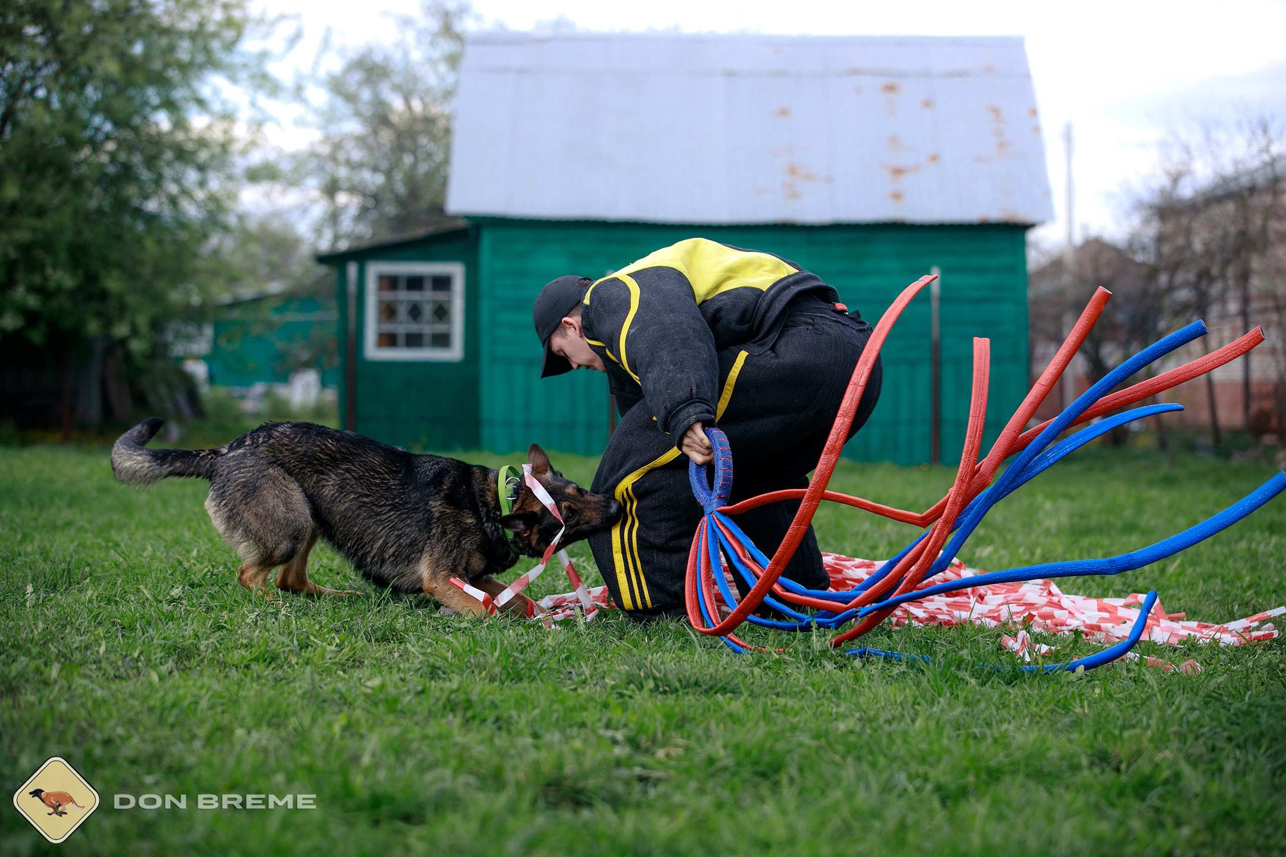 Семинар для фигурантов, день 2. Фотограф-анималист Mary Mart — Москва, Питер