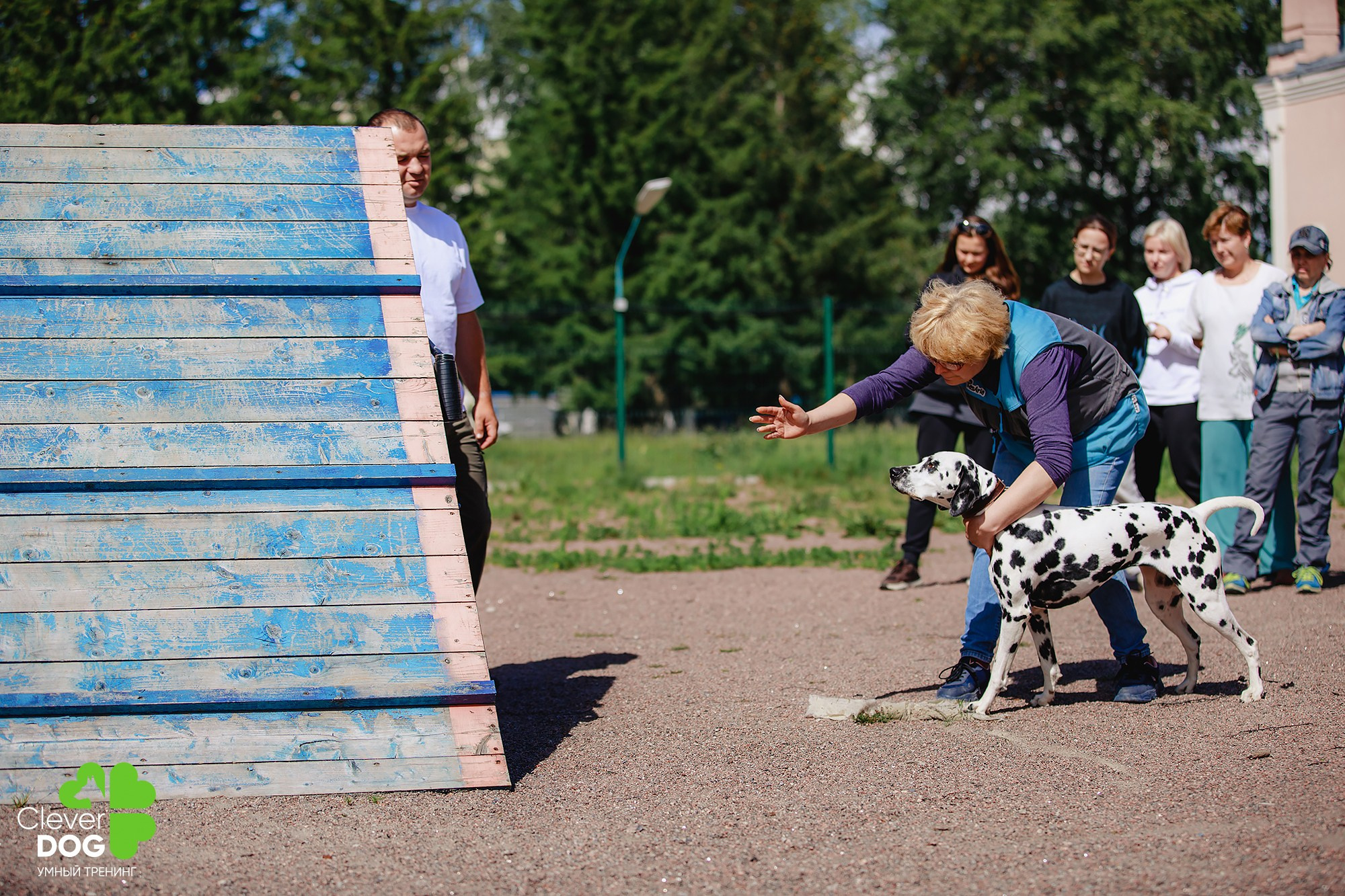 Семинар по поиску запаха с Иваном Ломовым, организатор CleverDog, СПб. Фотограф-анималист Mary Mart — Москва, Питер