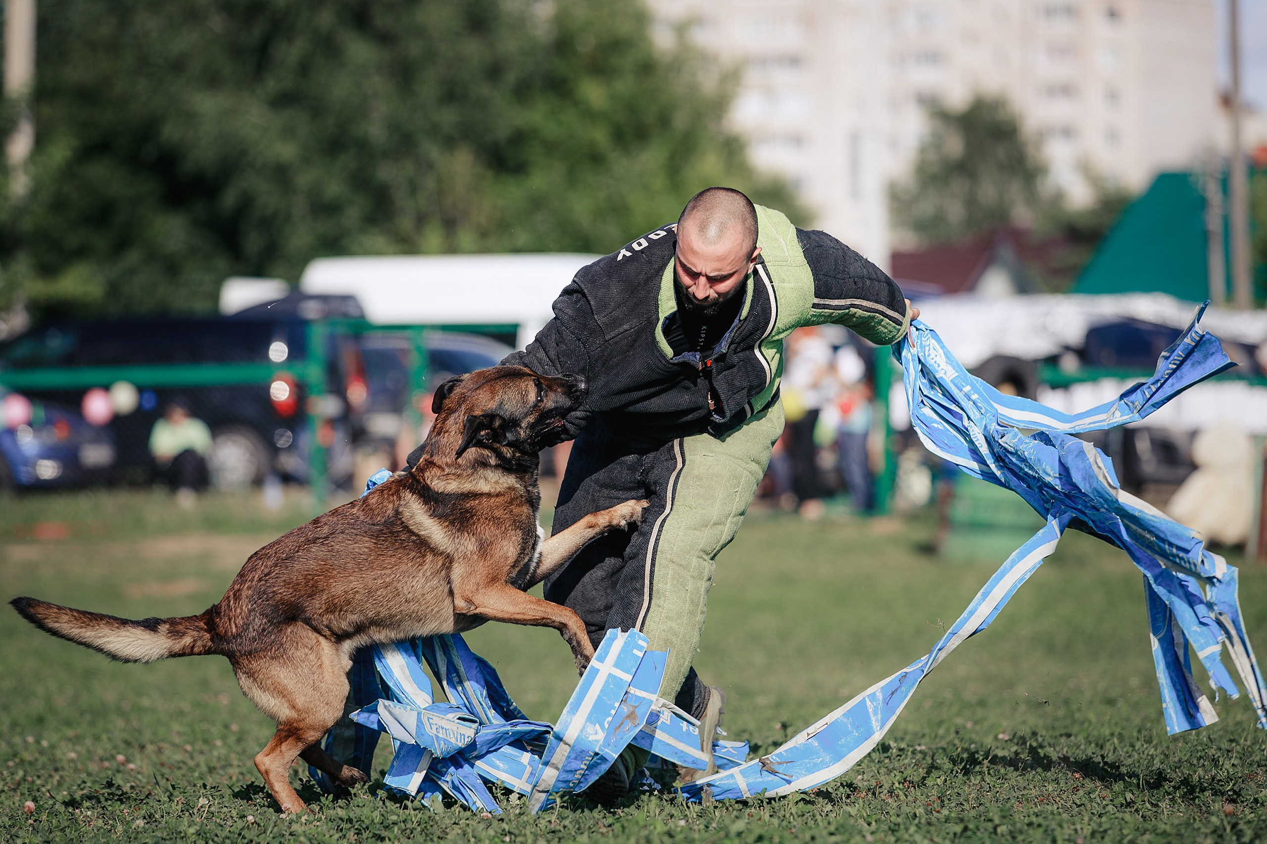 Мондьоринг М1, М2, М3, Вологда. Фотограф-анималист Mary Mart — Москва, Питер