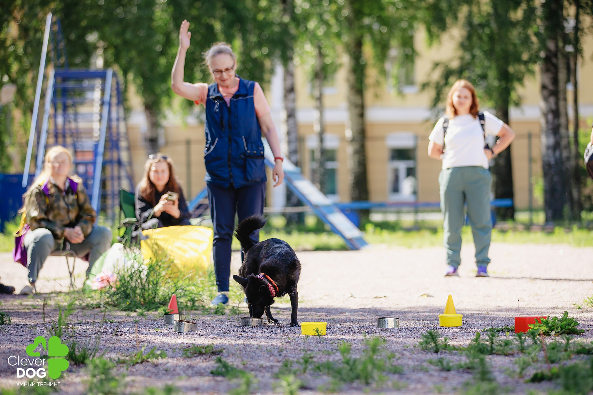 Семинар по поиску запаха с Иваном Ломовым, организатор CleverDog, СПб. Фотограф-анималист Mary Mart — Москва, Питер