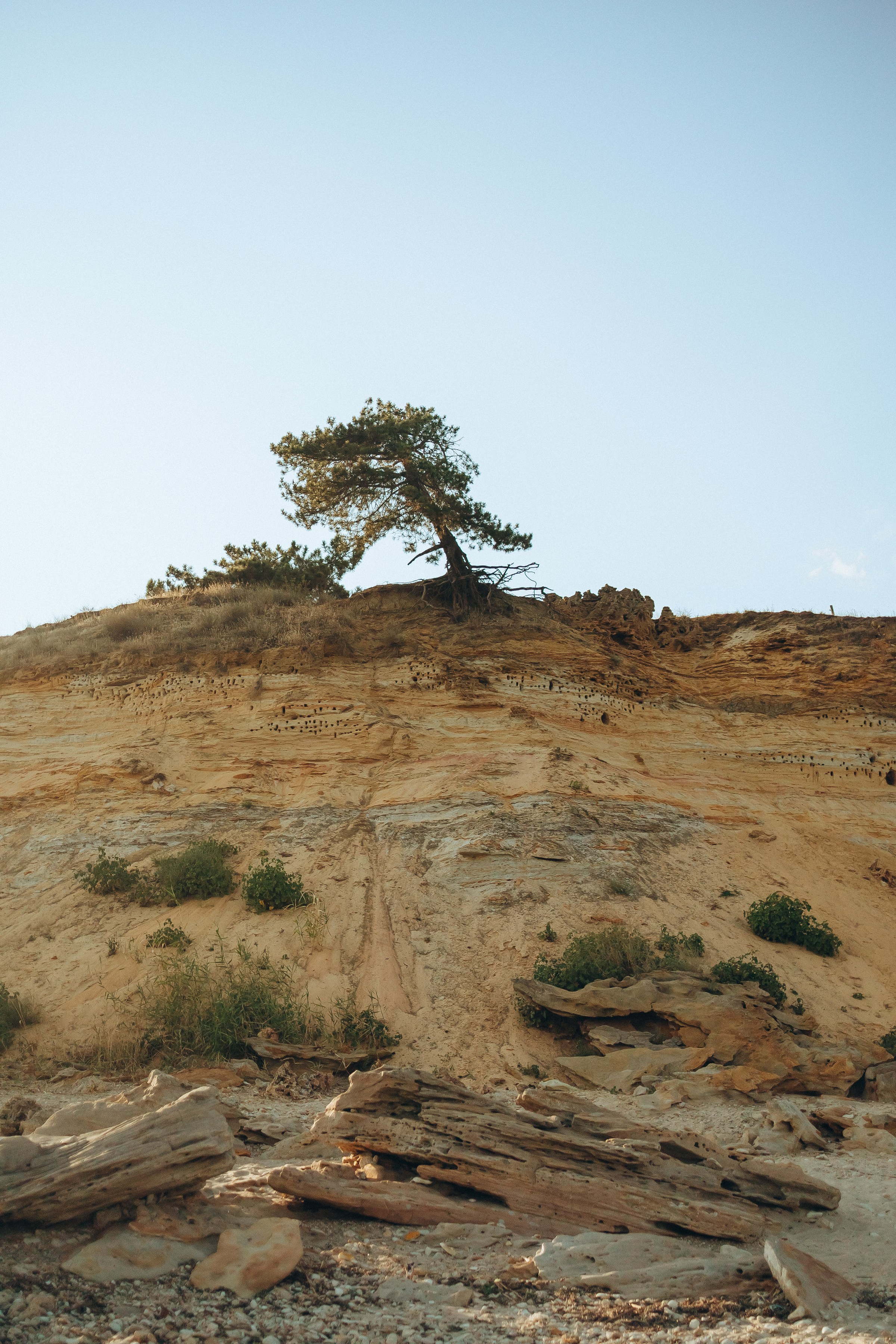 Семейная фотосессия. Семейный фотограф в Волгодонске Краченцева Анна