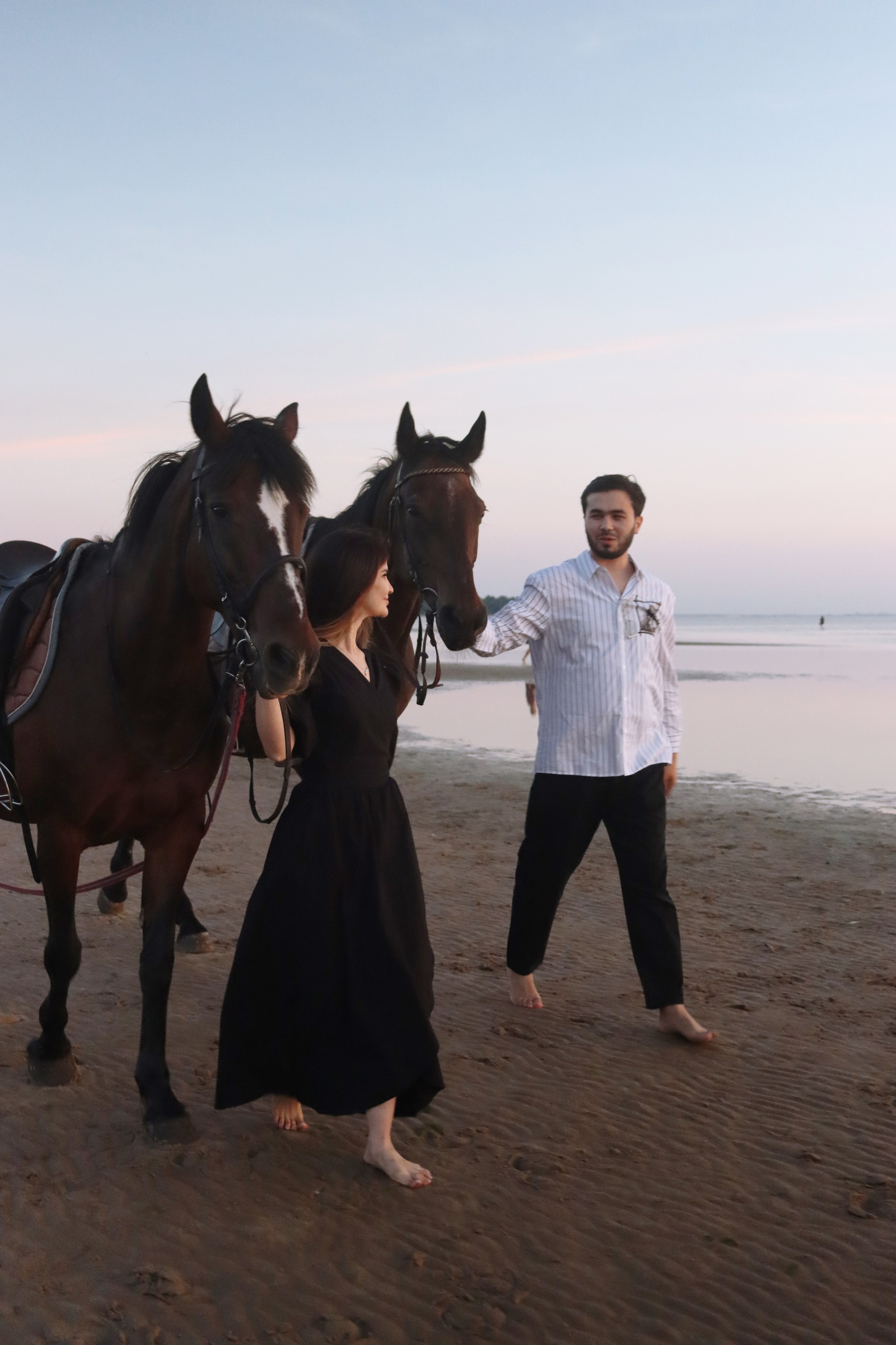 Love story с лошадьми