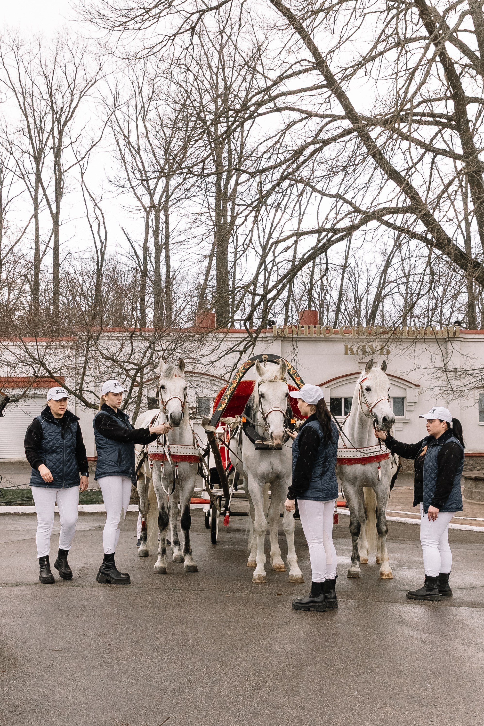День Орловского рысака. Парк-отель Яр. Свадебный, репортажный фотограф Ирина Шкурина