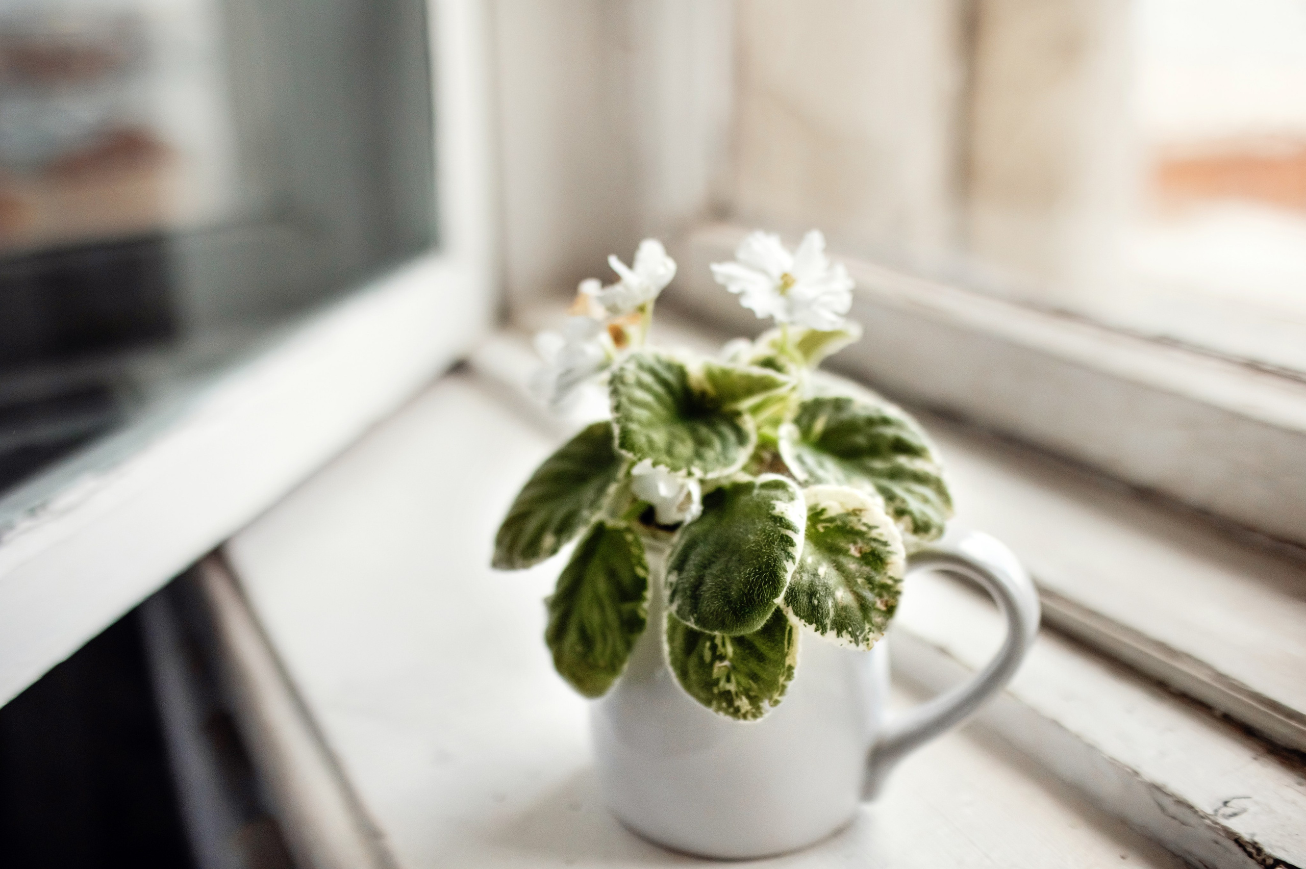 Синеглазка. Детский и семейный фотограф в Москве Анна Ипатьева