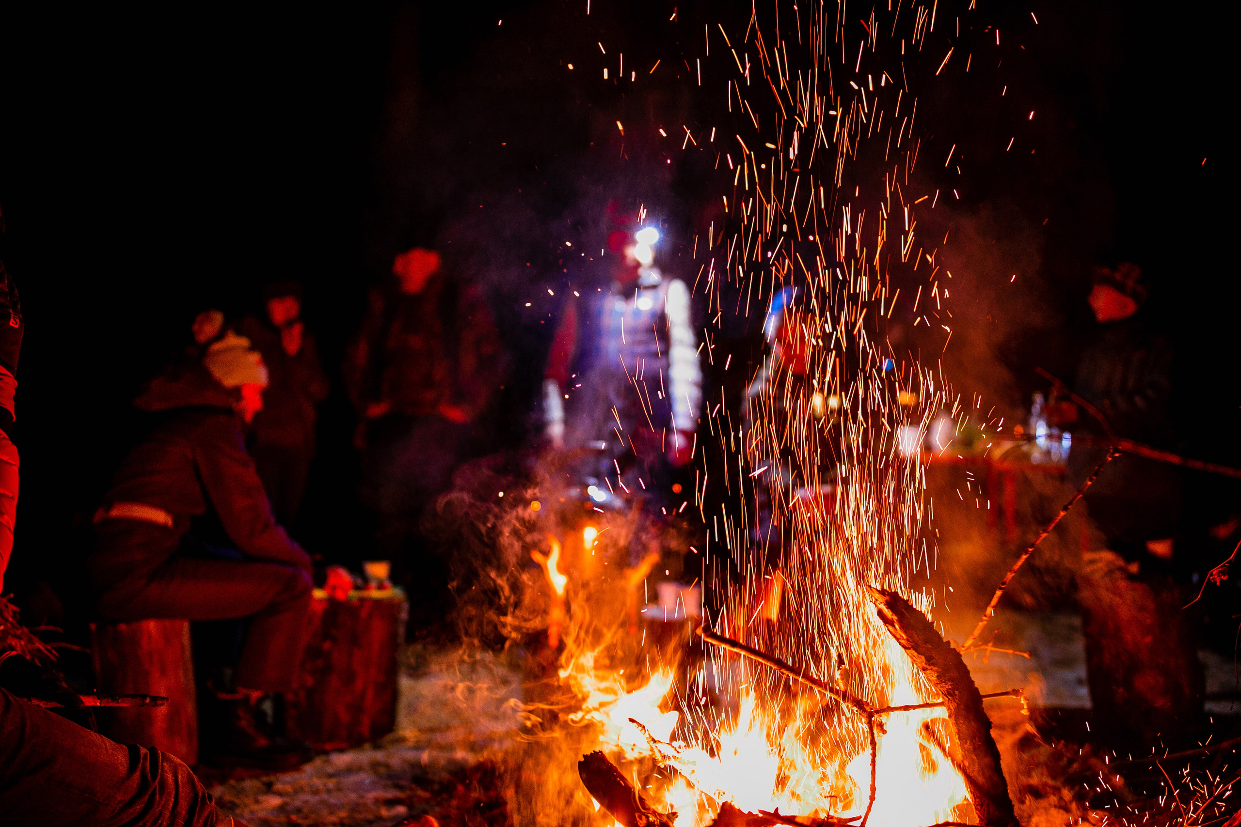 Фототуры в Карачаево-Черкессии 2019-2020. Фотограф-анималист Ксендзова Кристина