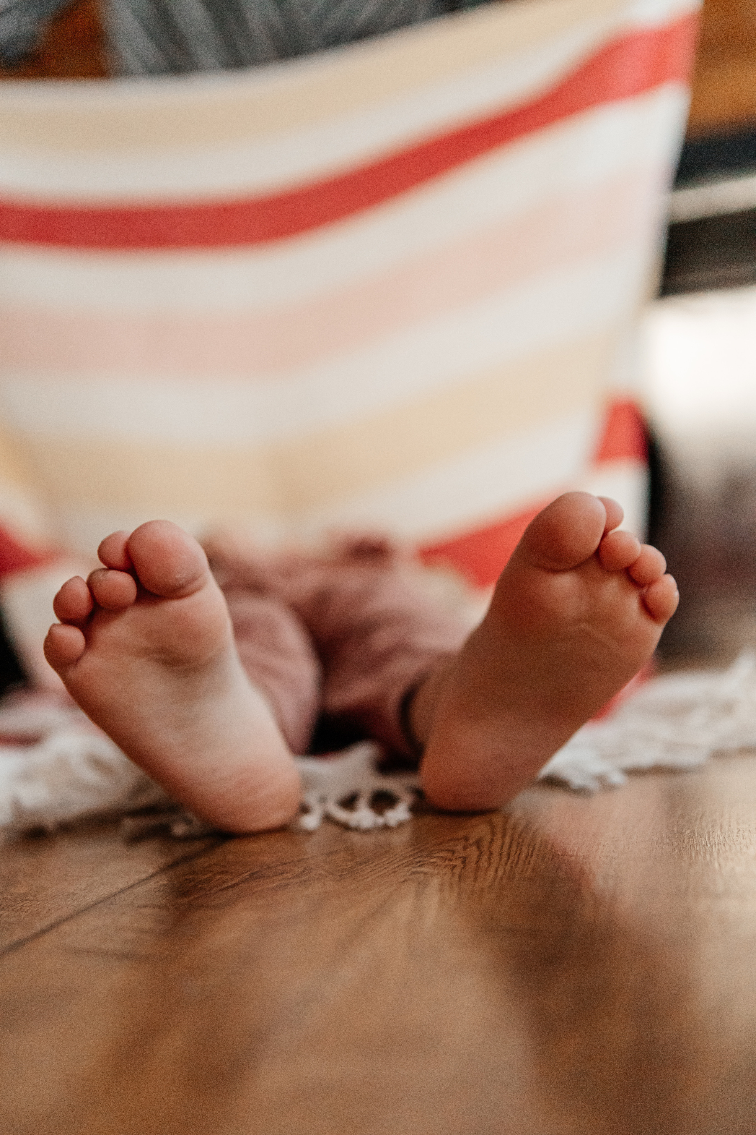 Домашние радости. Alex Vasina Photographer