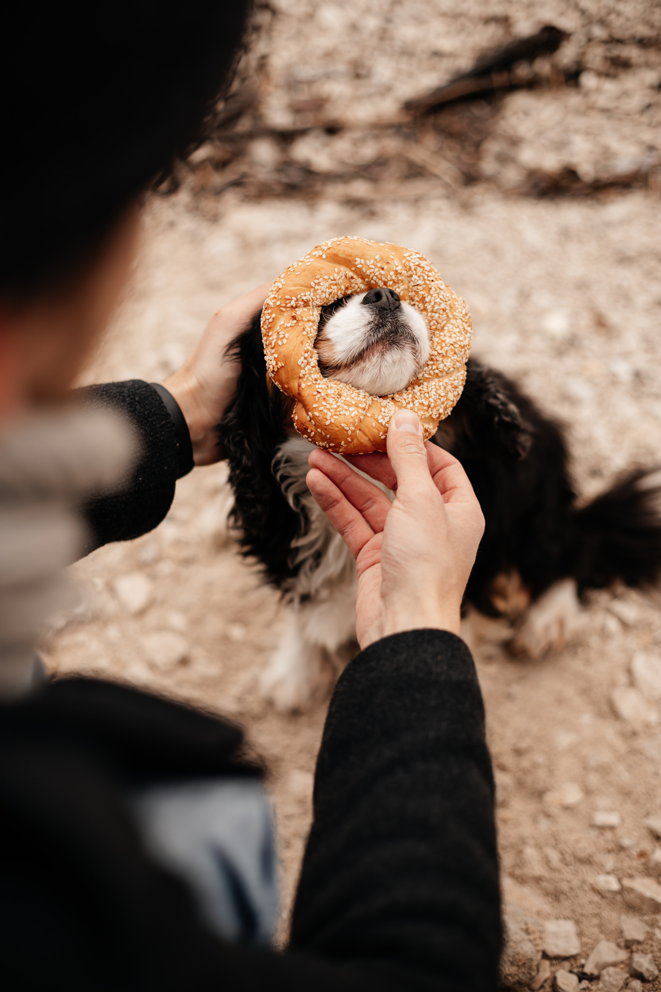 Паша и Оля. Alex Vasina Photographer