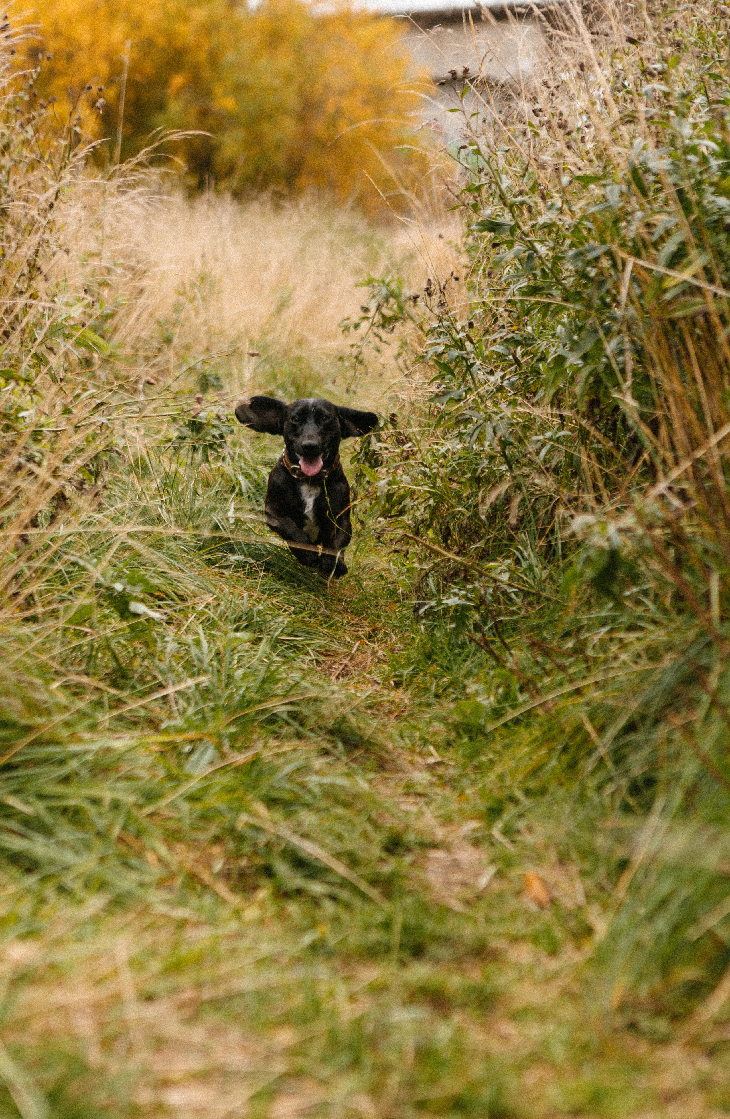 Наташа и Яся. Фотограф в Архангельске Александра Васина