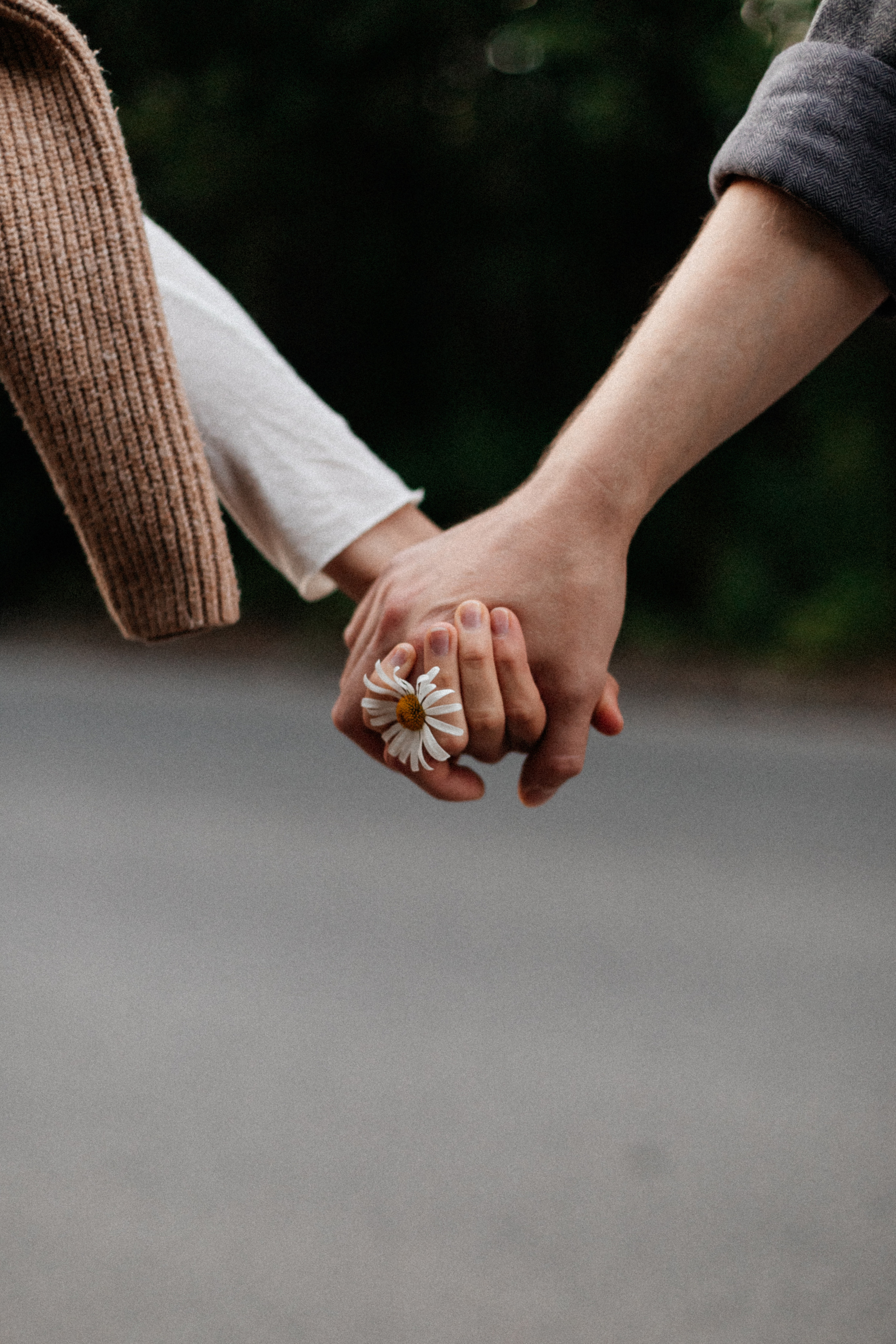 Зина и Андрей. Alex Vasina Photographer