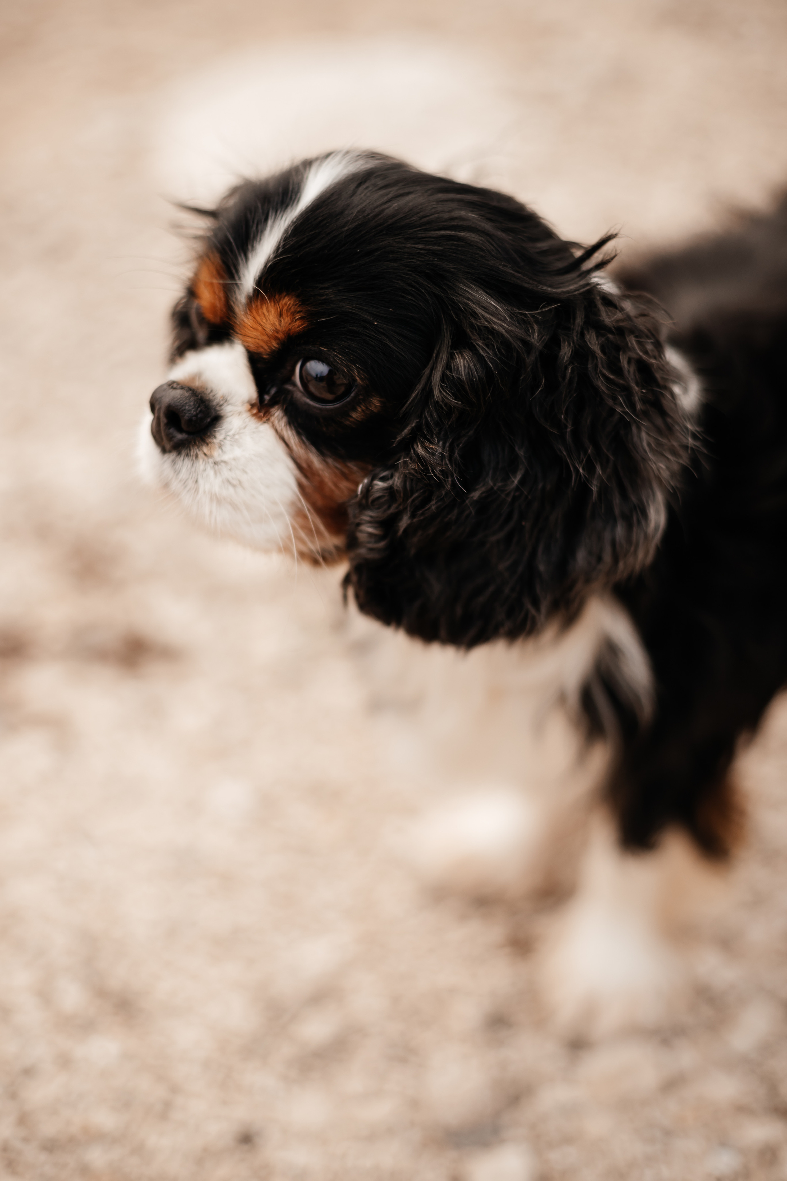 Паша и Оля. Alex Vasina Photographer