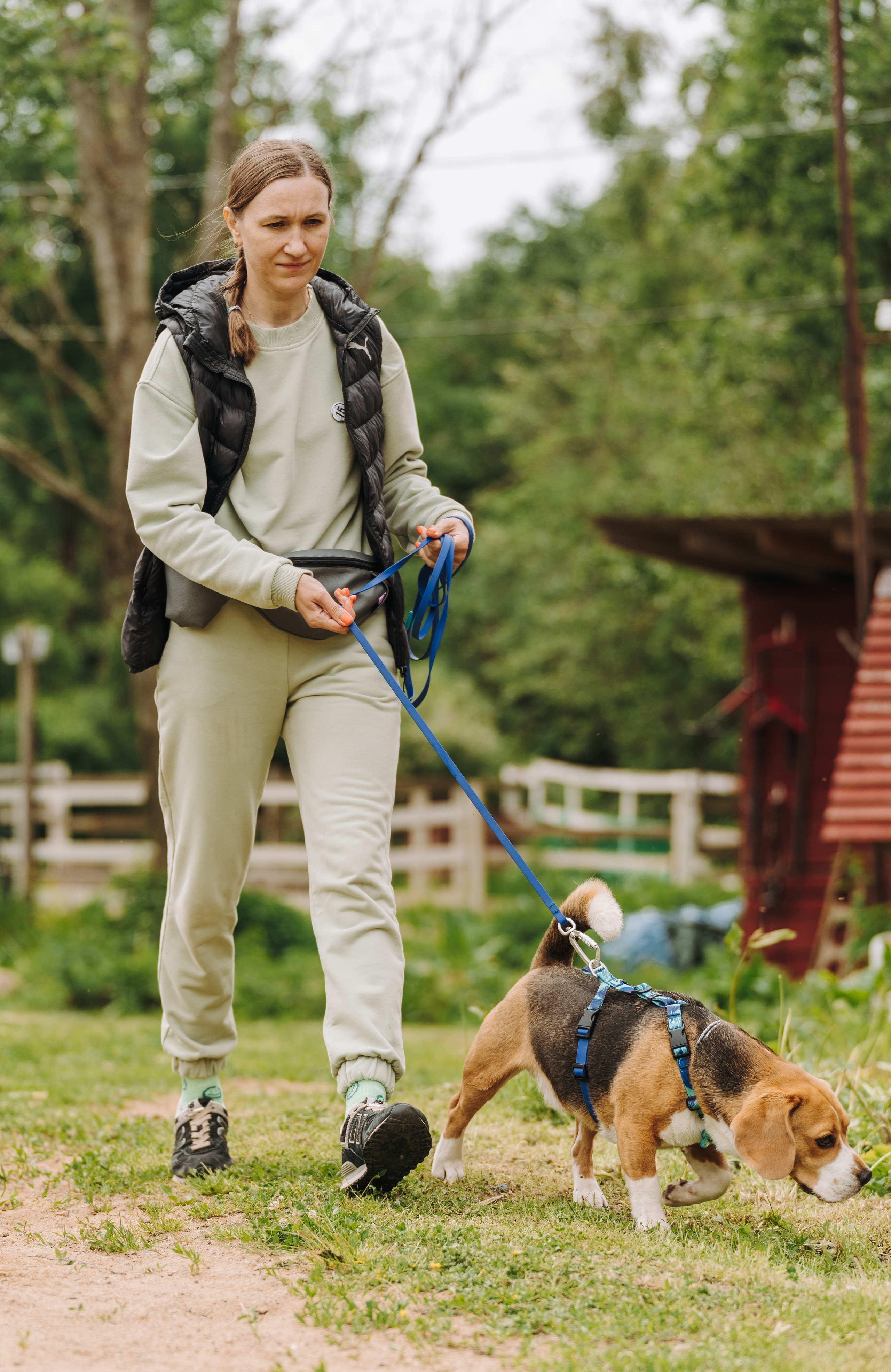 Соревнования по ноузворку. Фотограф анималист в Спб недорого Олеся Майорова
