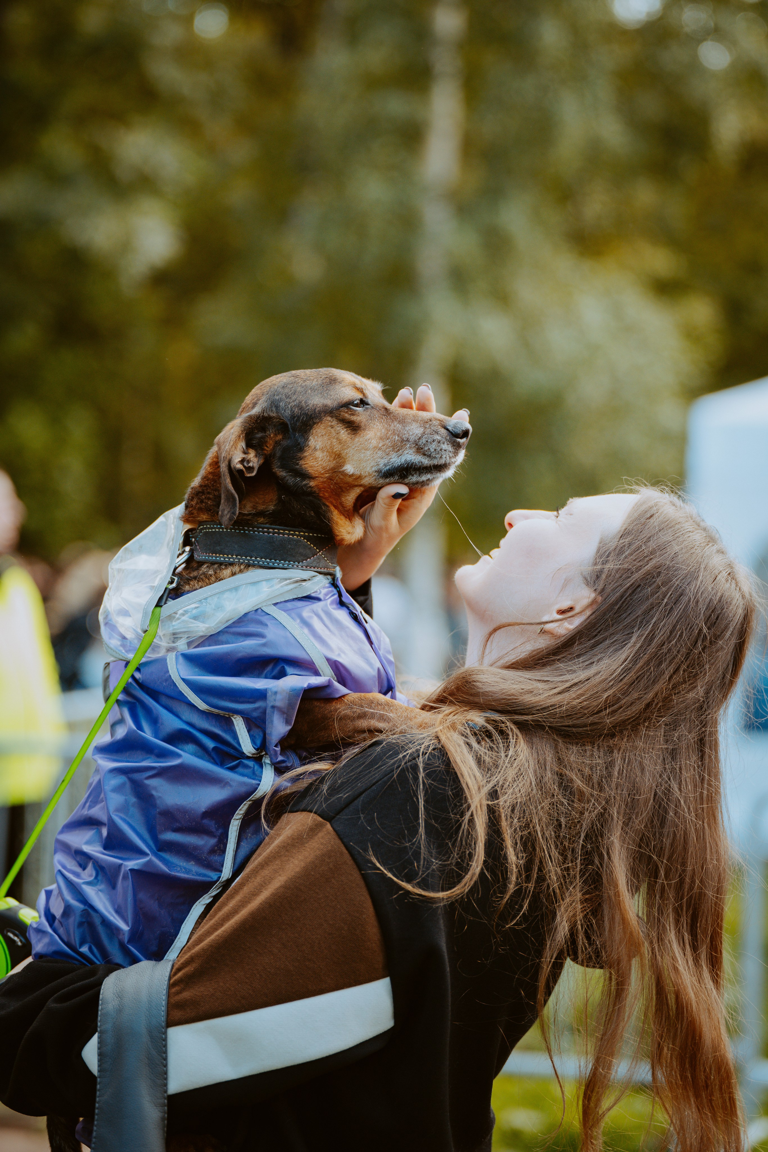 Такспарад. Фотограф анималист в Спб недорого Олеся Майорова