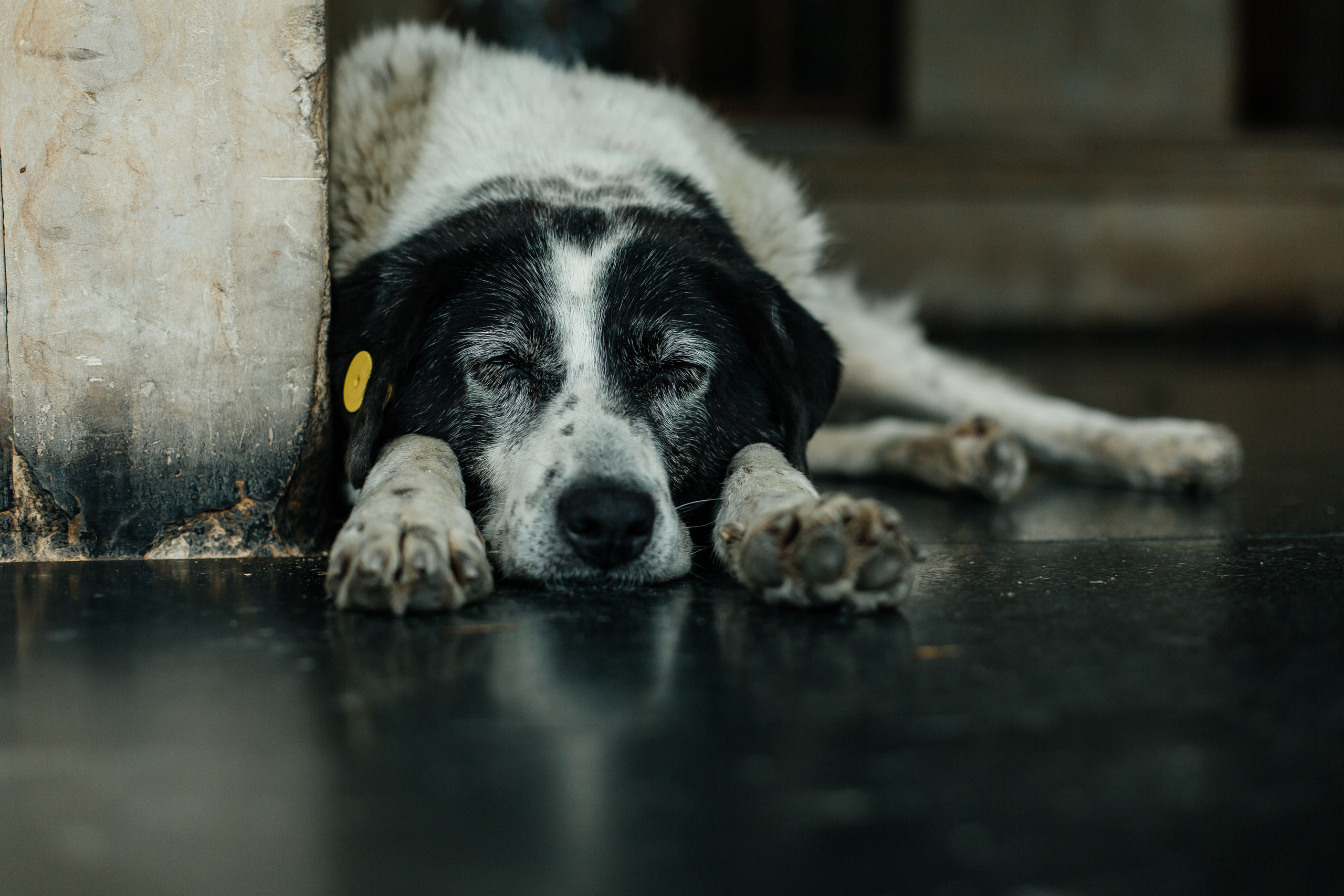 Тур в Грузию