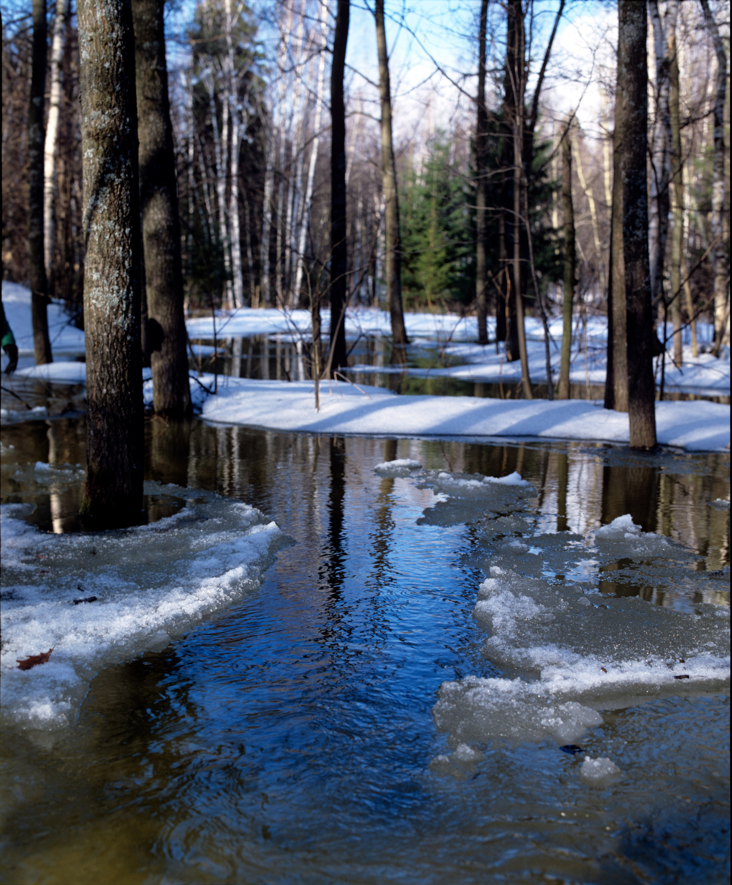 Весна. ВАДИМ ГИППЕНРЕЙТЕР — ВЕЛИКИЙ ФОТОГРАФ ЗЕМЛИ РУССКОЙ