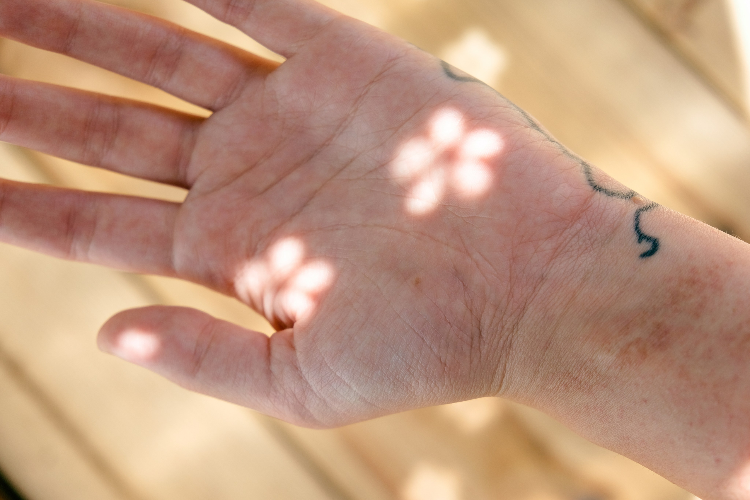 Skin. Софа Катастрофа, Одичание. фотохудожница, креативный продюсер, автор. Nude, eros, портретный фотограф