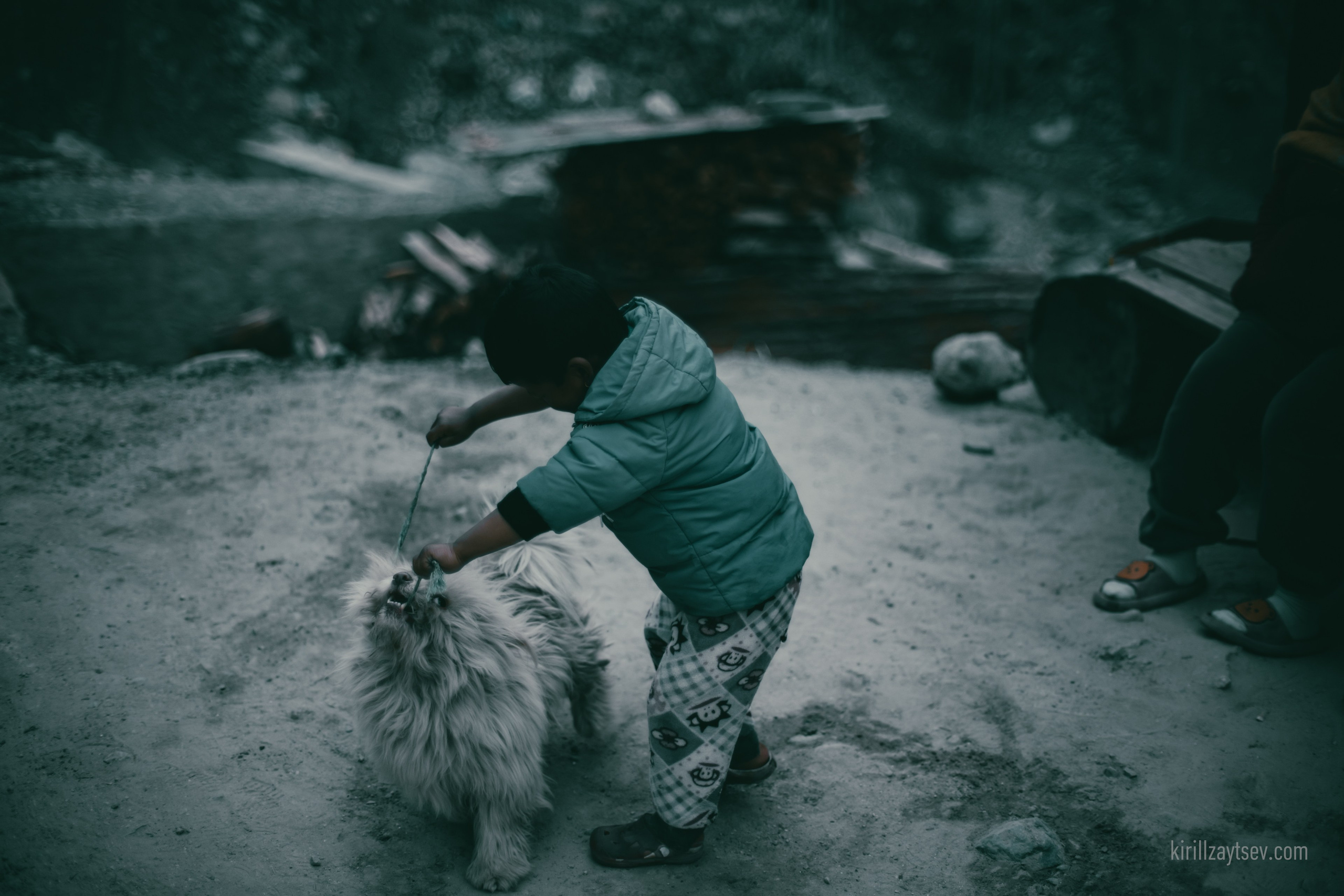 Жизнь. Профессиональный фотограф Кирилл Зайцев