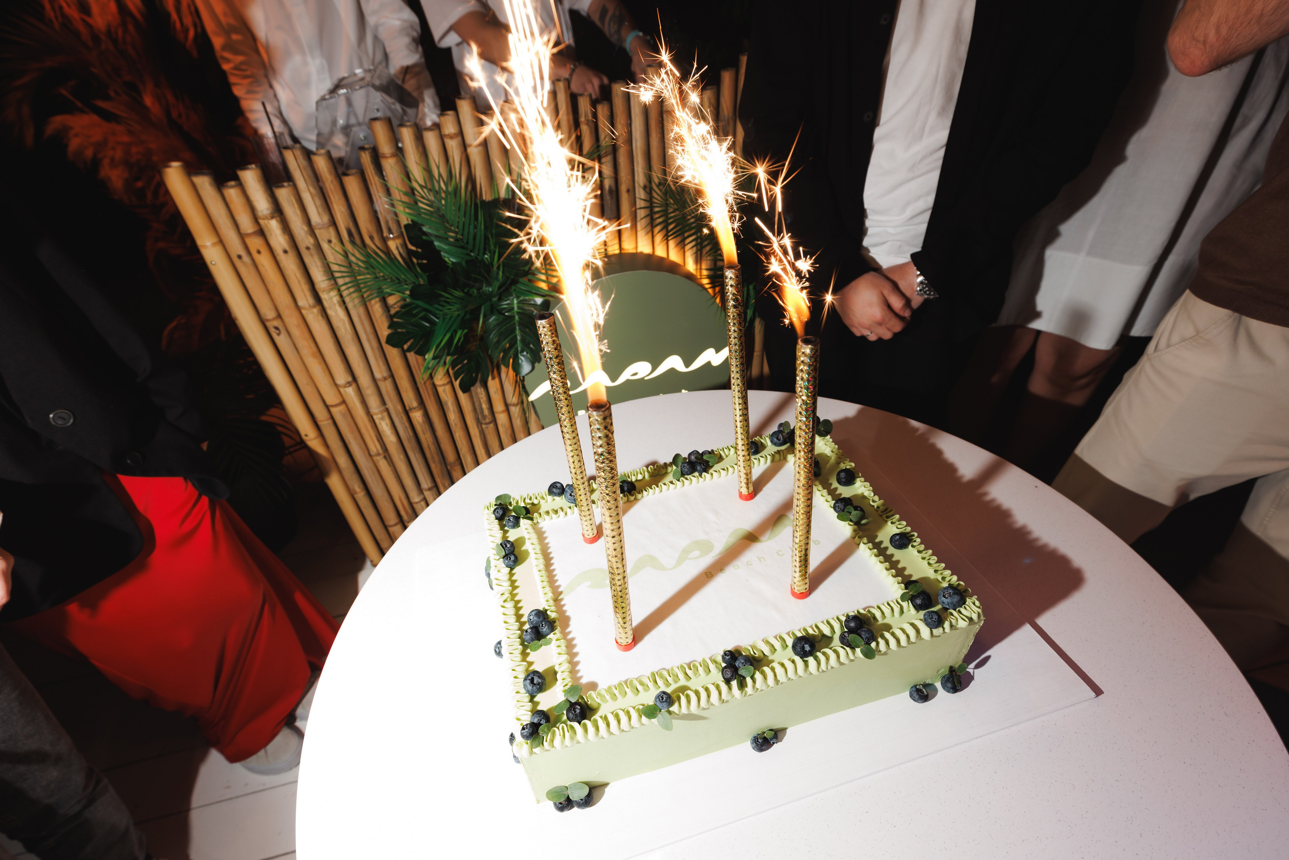 TROPICAL DISCO BIRTHDAY PARTY