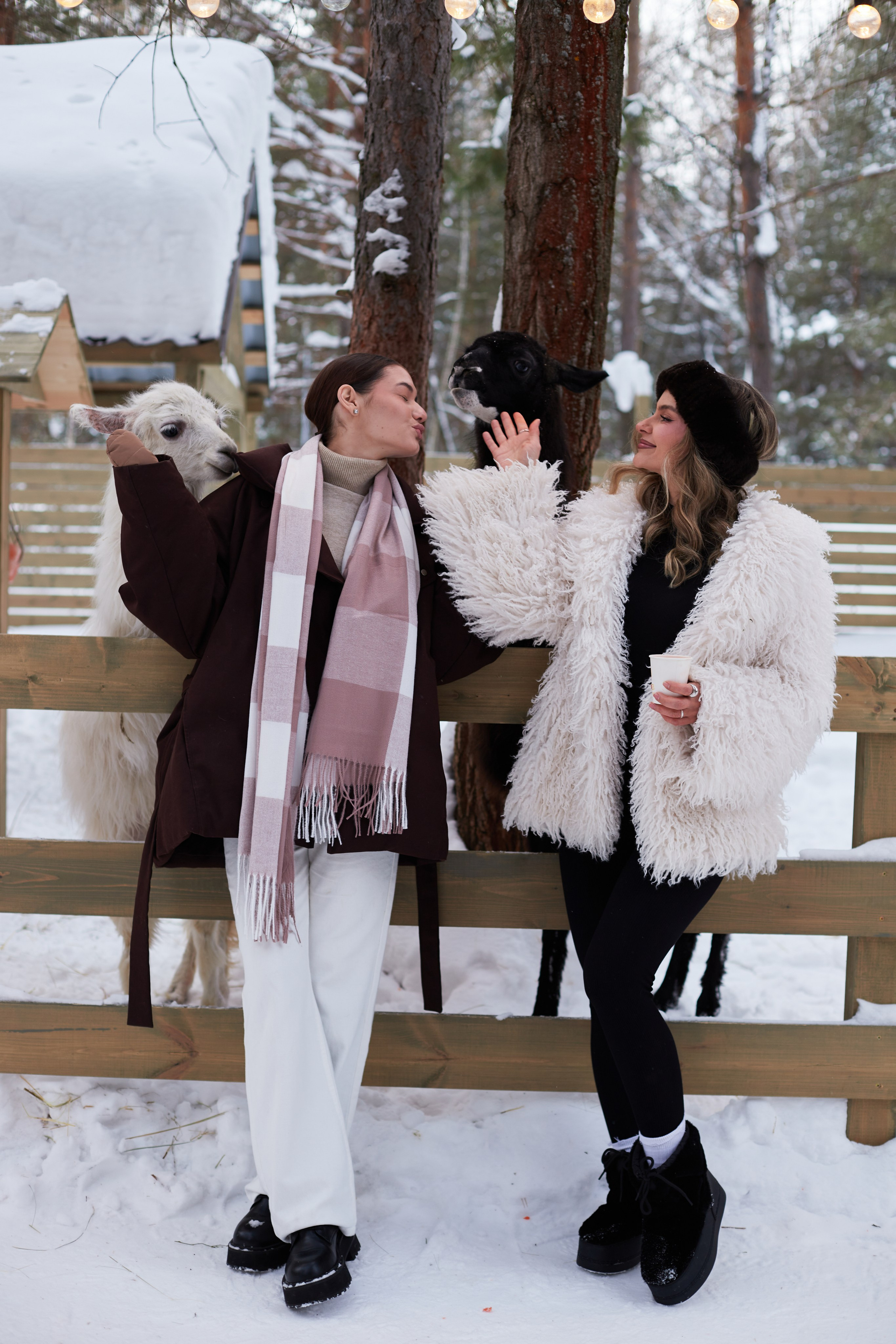 Альпака парк «Симба». Профессиональный фотограф Лилия Галеева