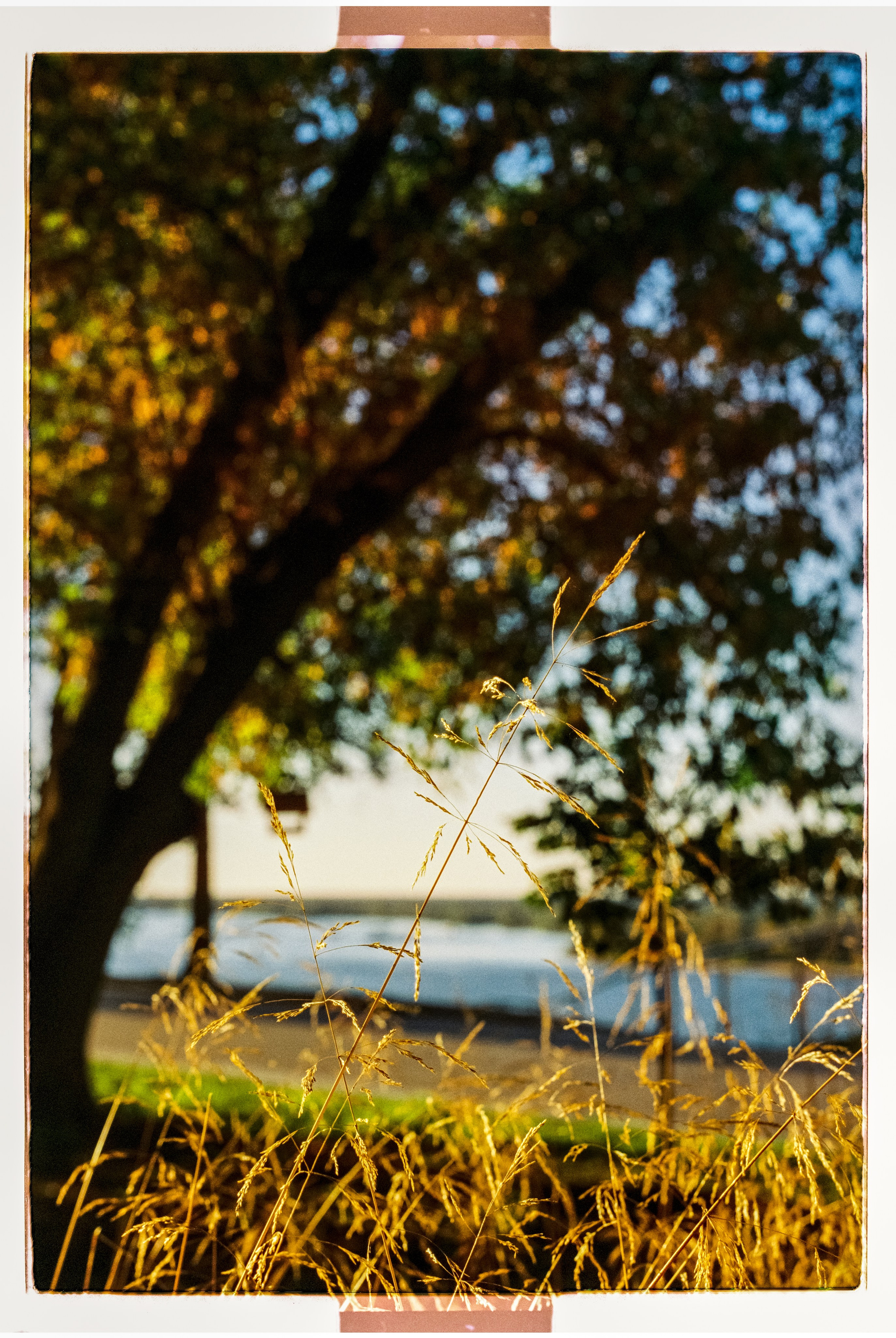 Nizhniy Novgorod. ANNA — PHOTOGRAPHER