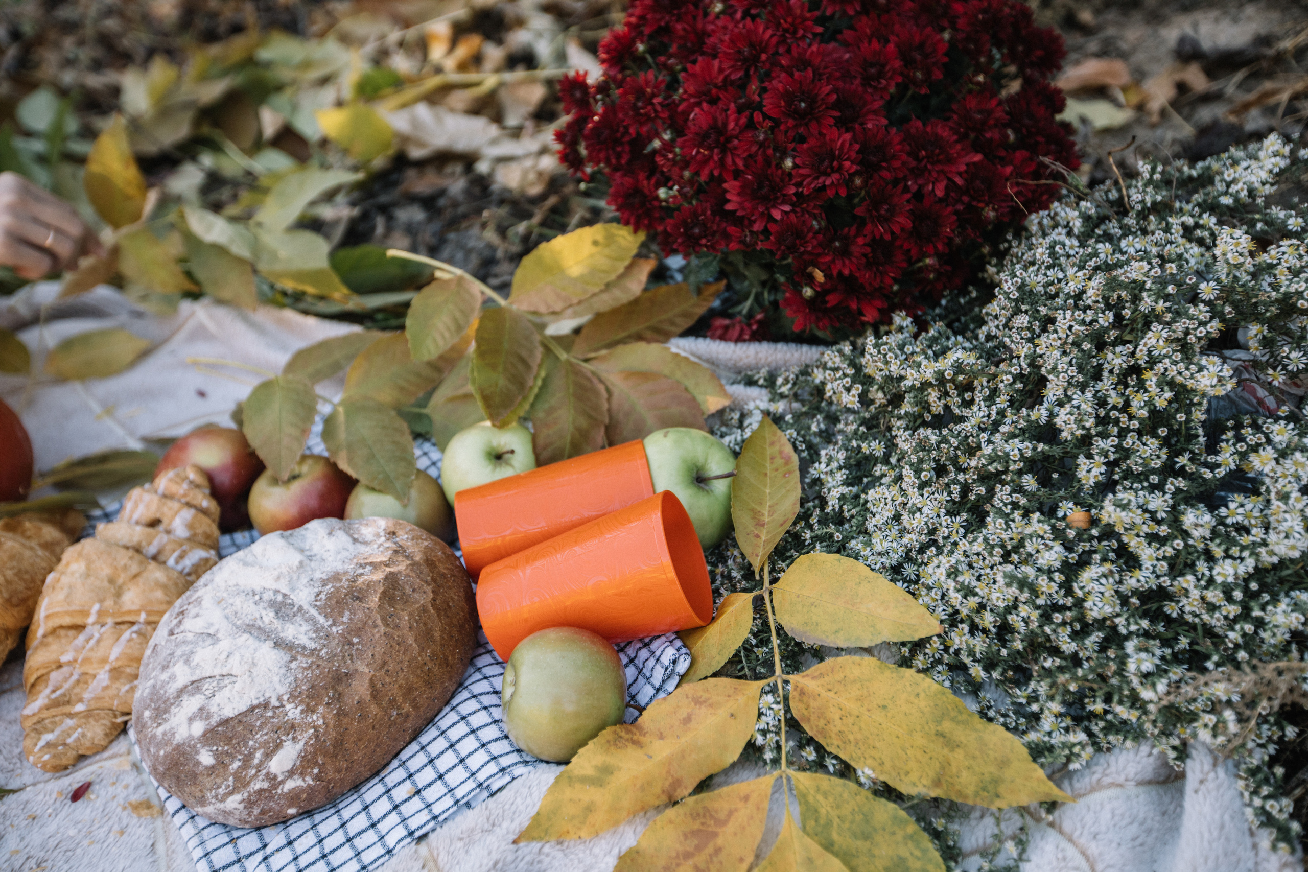 Сережа + Оля + Никита. Главная