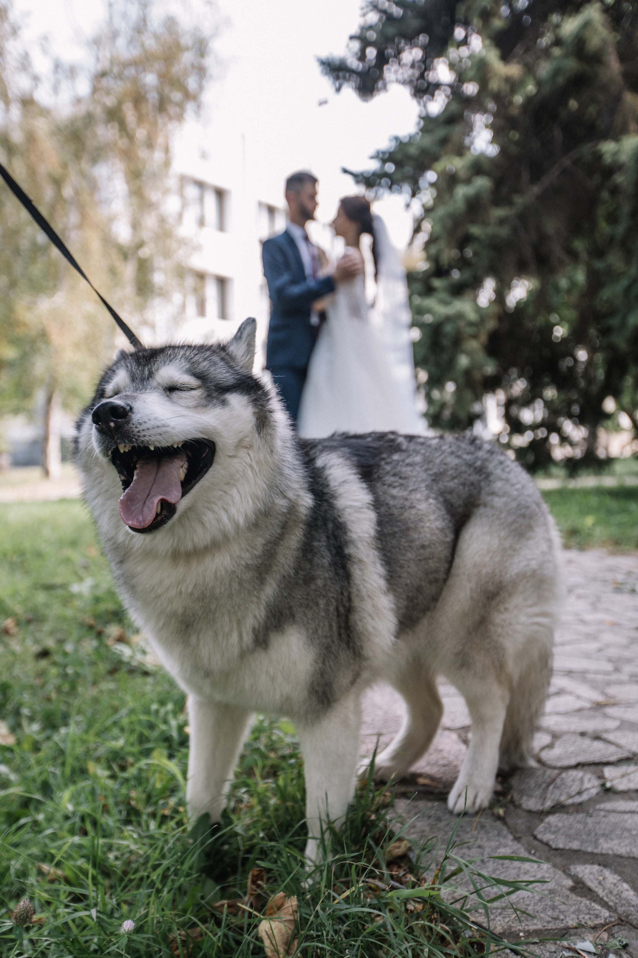 Антон и Света. Главная