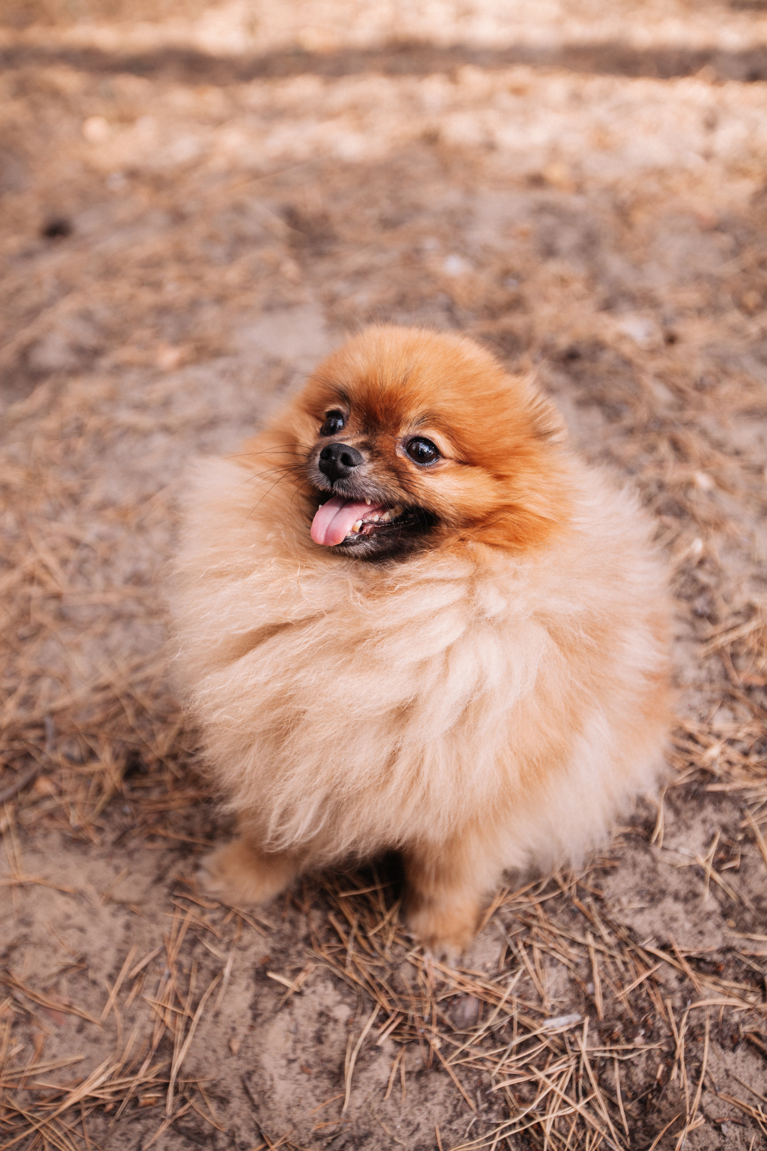 Максим и Алина. Главная