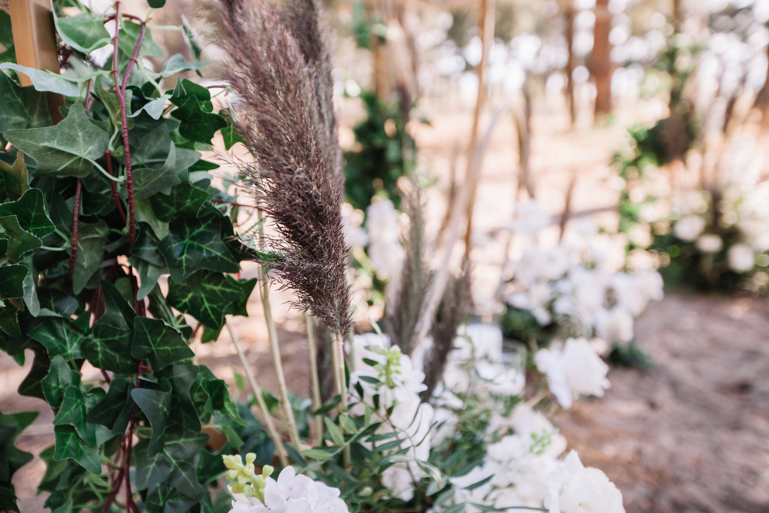 Максим и Алина. Главная