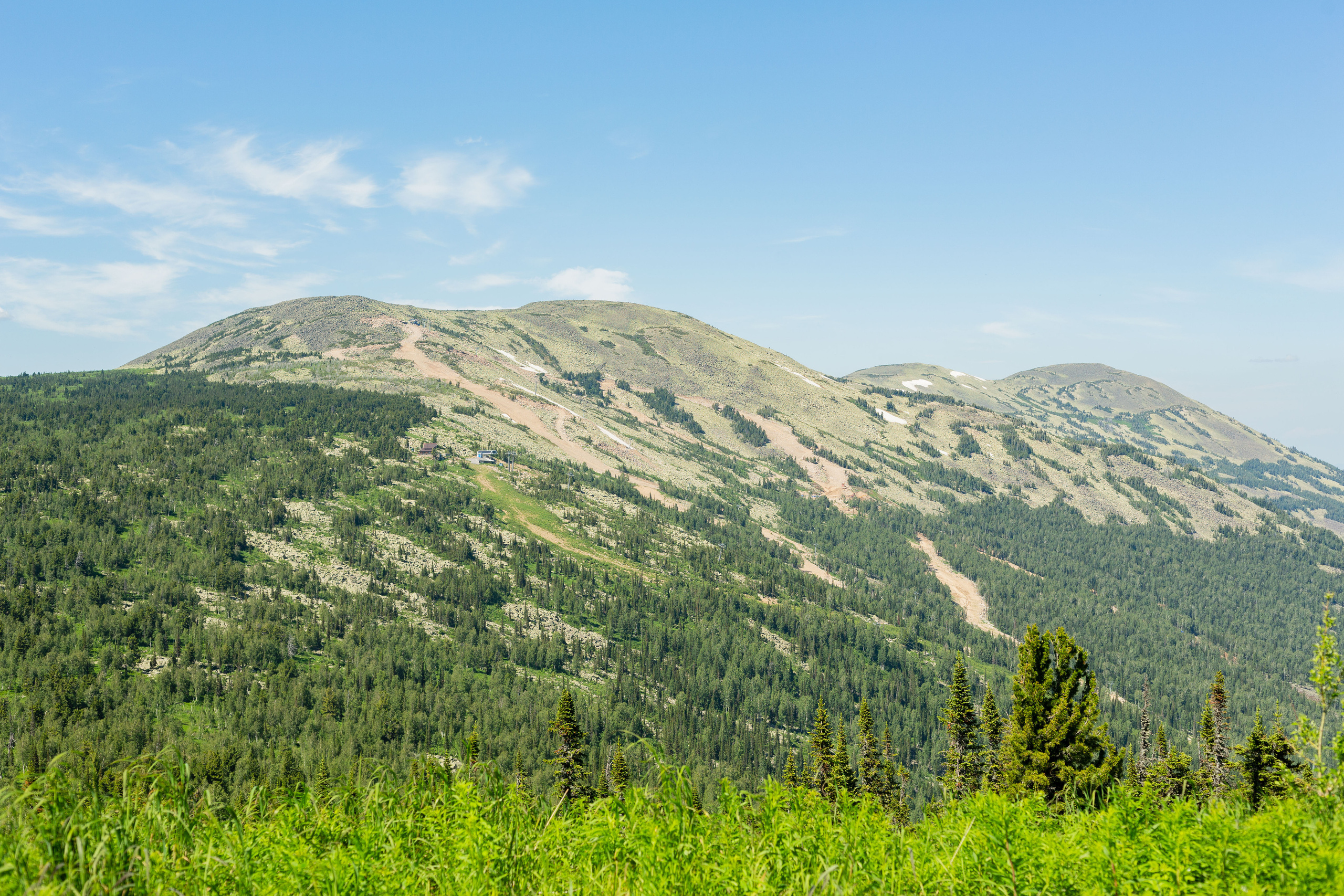 Природа. Семейный и детский фотограф, фотограф новорожденных в Новокузнецке Ири
