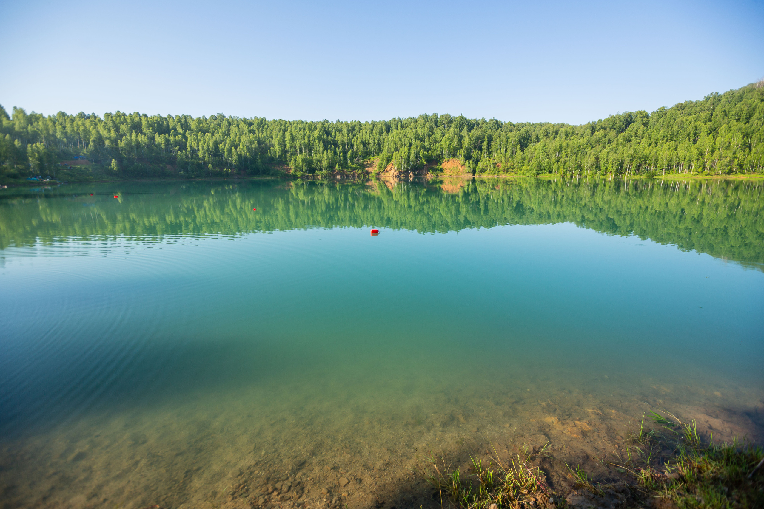 Природа. Семейный и детский фотограф, фотограф новорожденных в Новокузнецке Ири