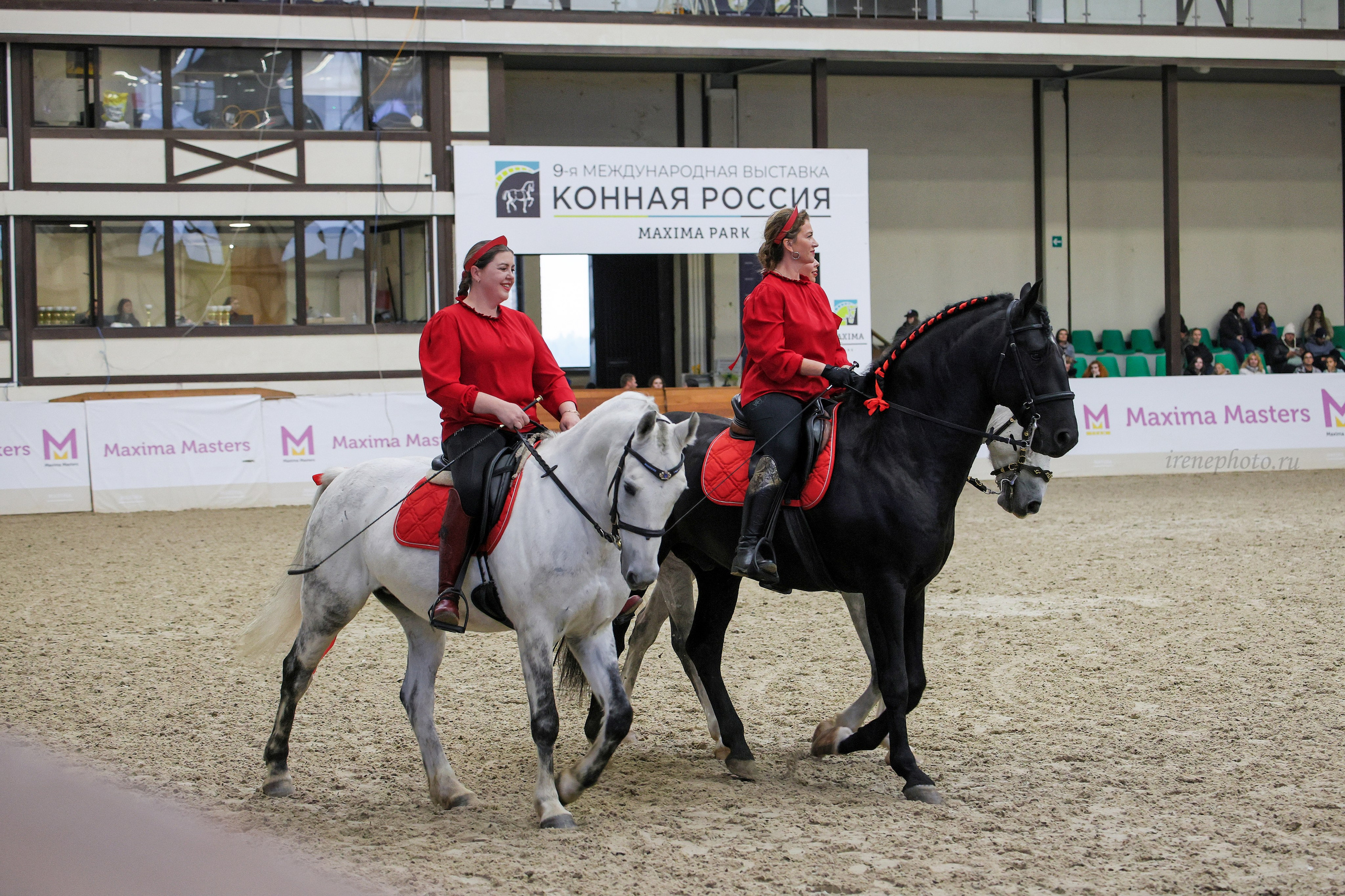 Конная Россия 2024. Irenephoto.ru