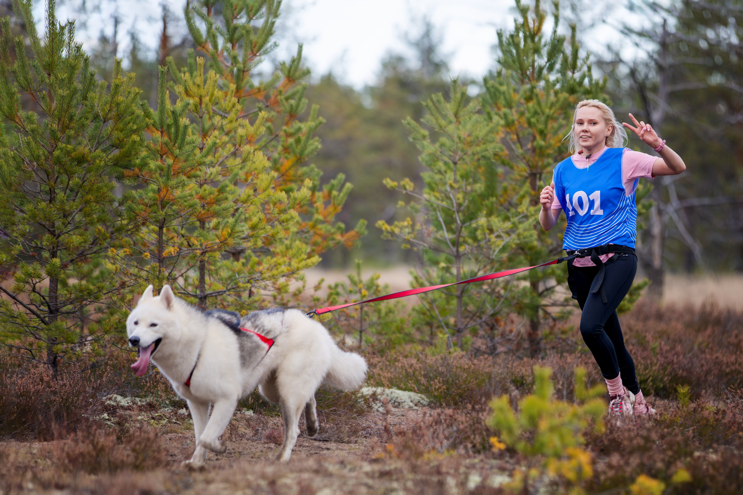 Чемпионат Санкт-Петербурга осень 2025. Irenephoto.ru