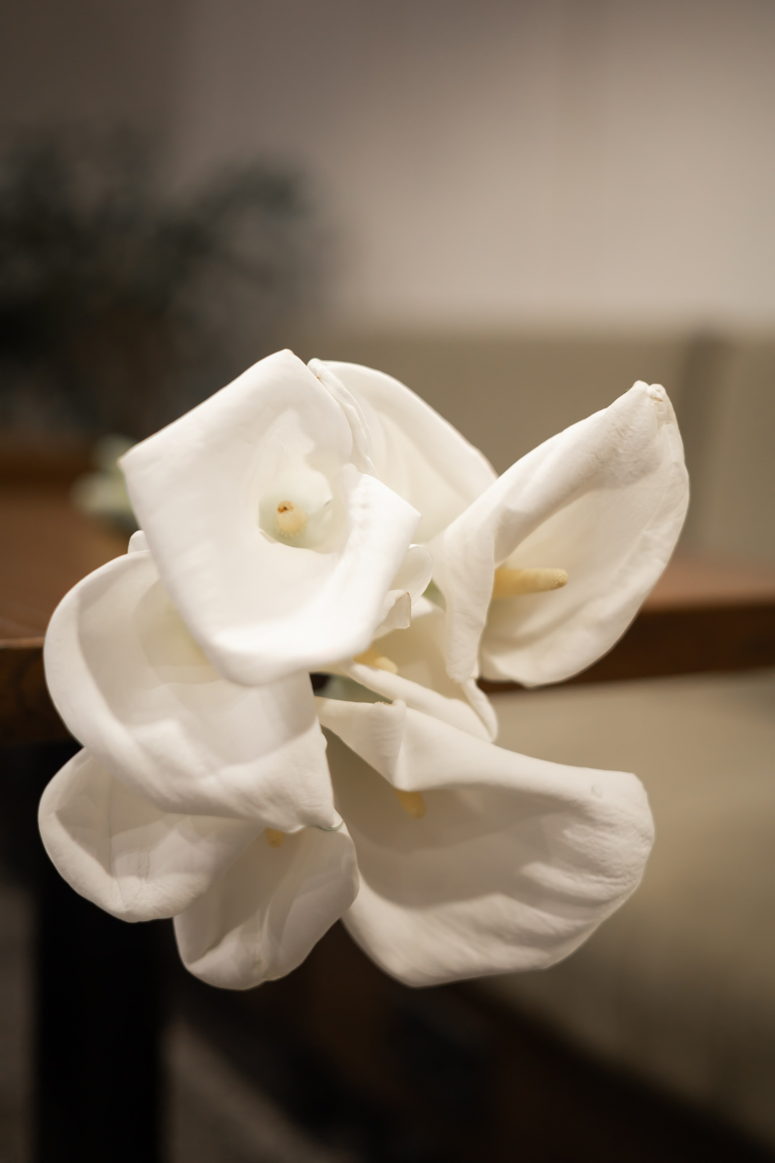 Анна+Алексей. Фотограф Элла Ефимова