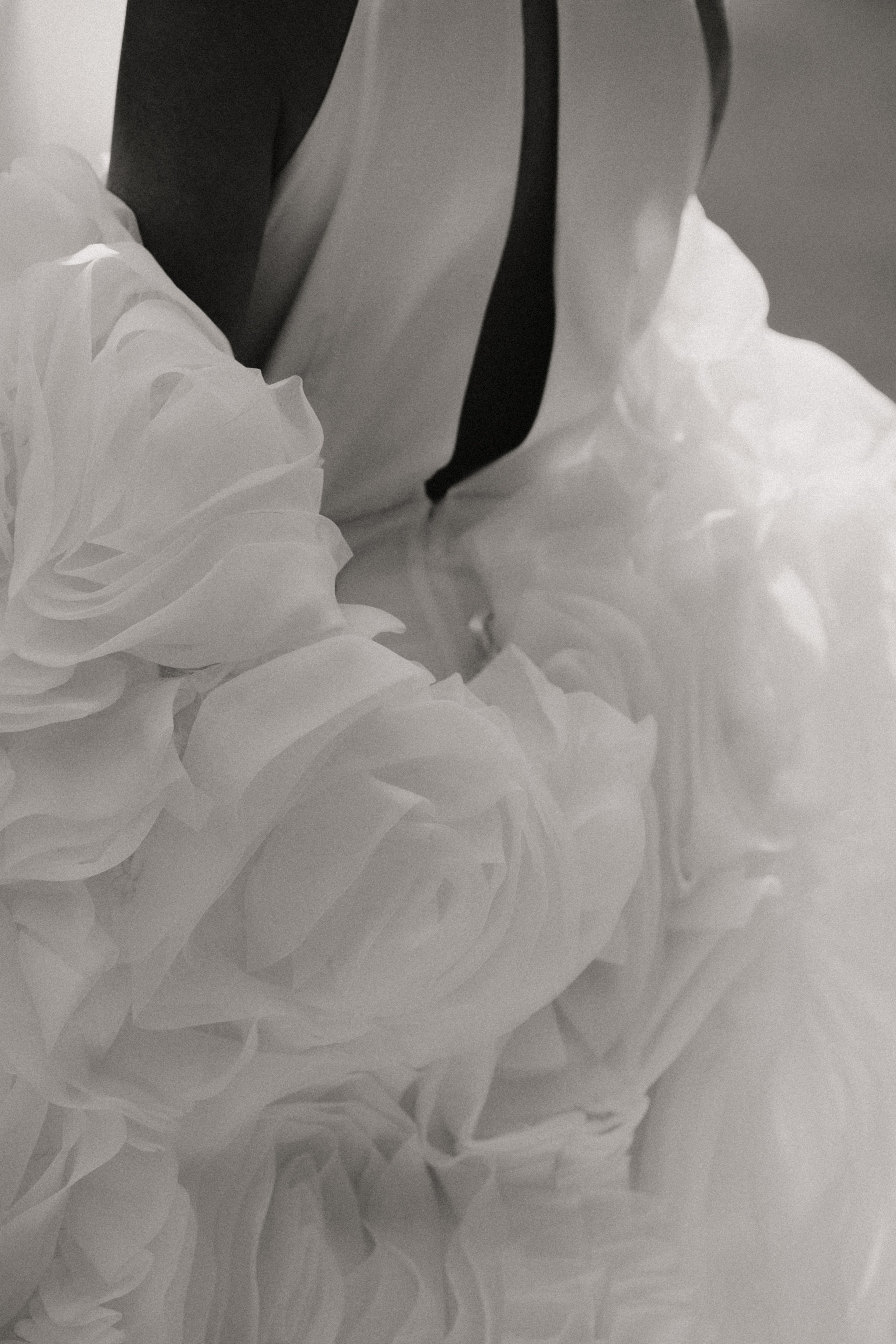 Владимир и Анжелика. Эстетичный свадебный репортаж в любом городе страны