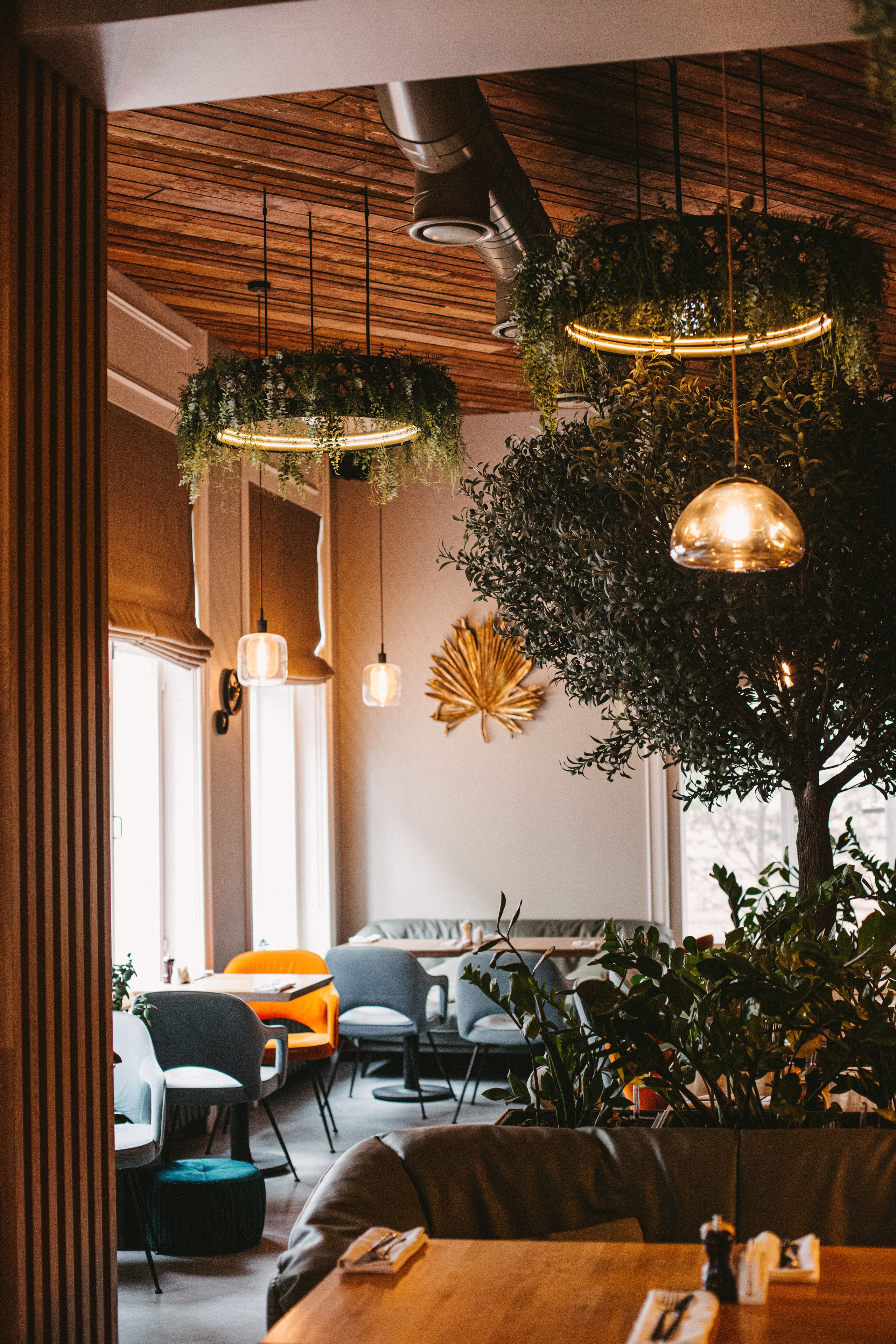 Заведения. Фуд фотограф новосибирск